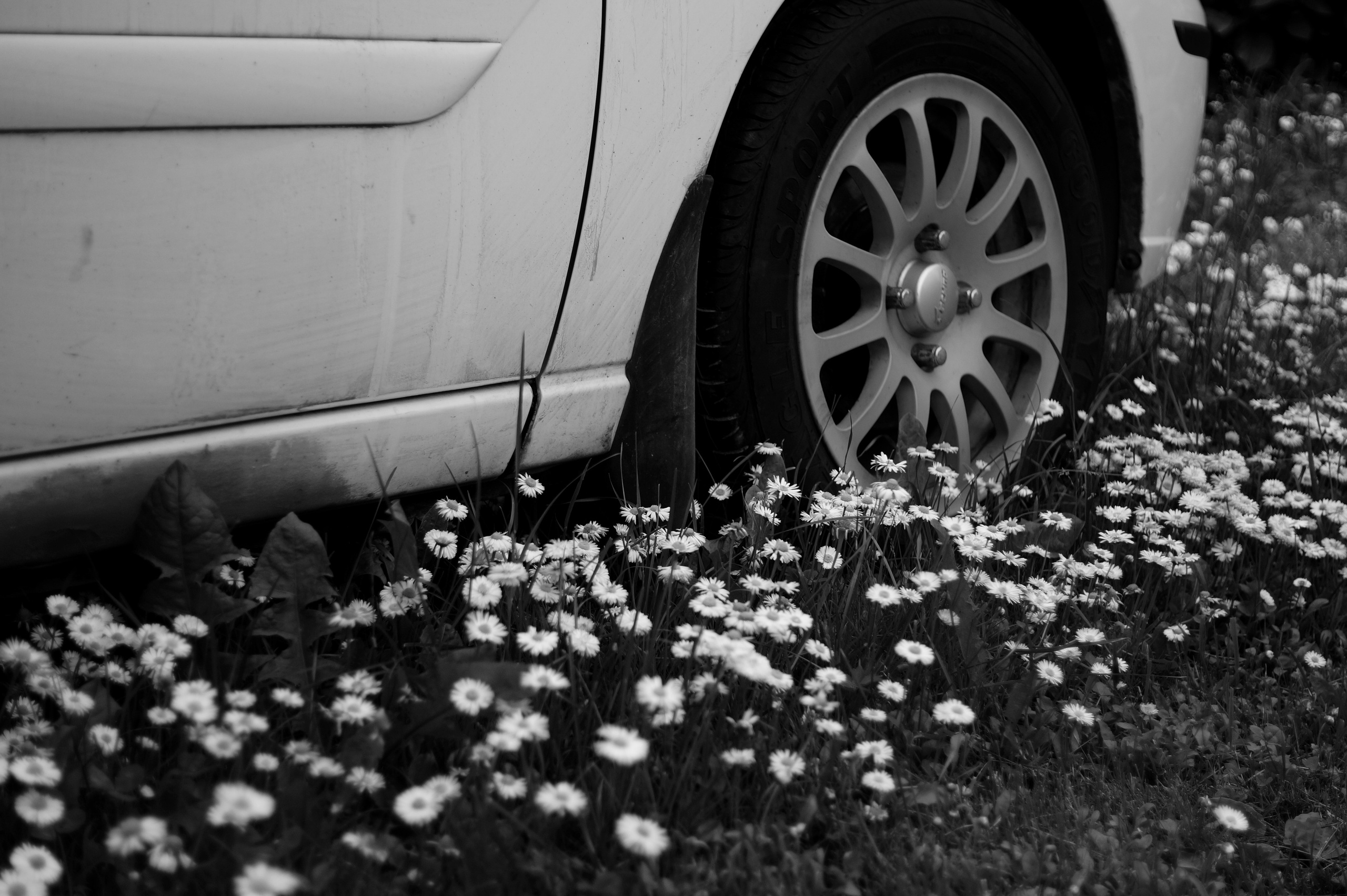 ЧБ. Фотограф Соня с Земли