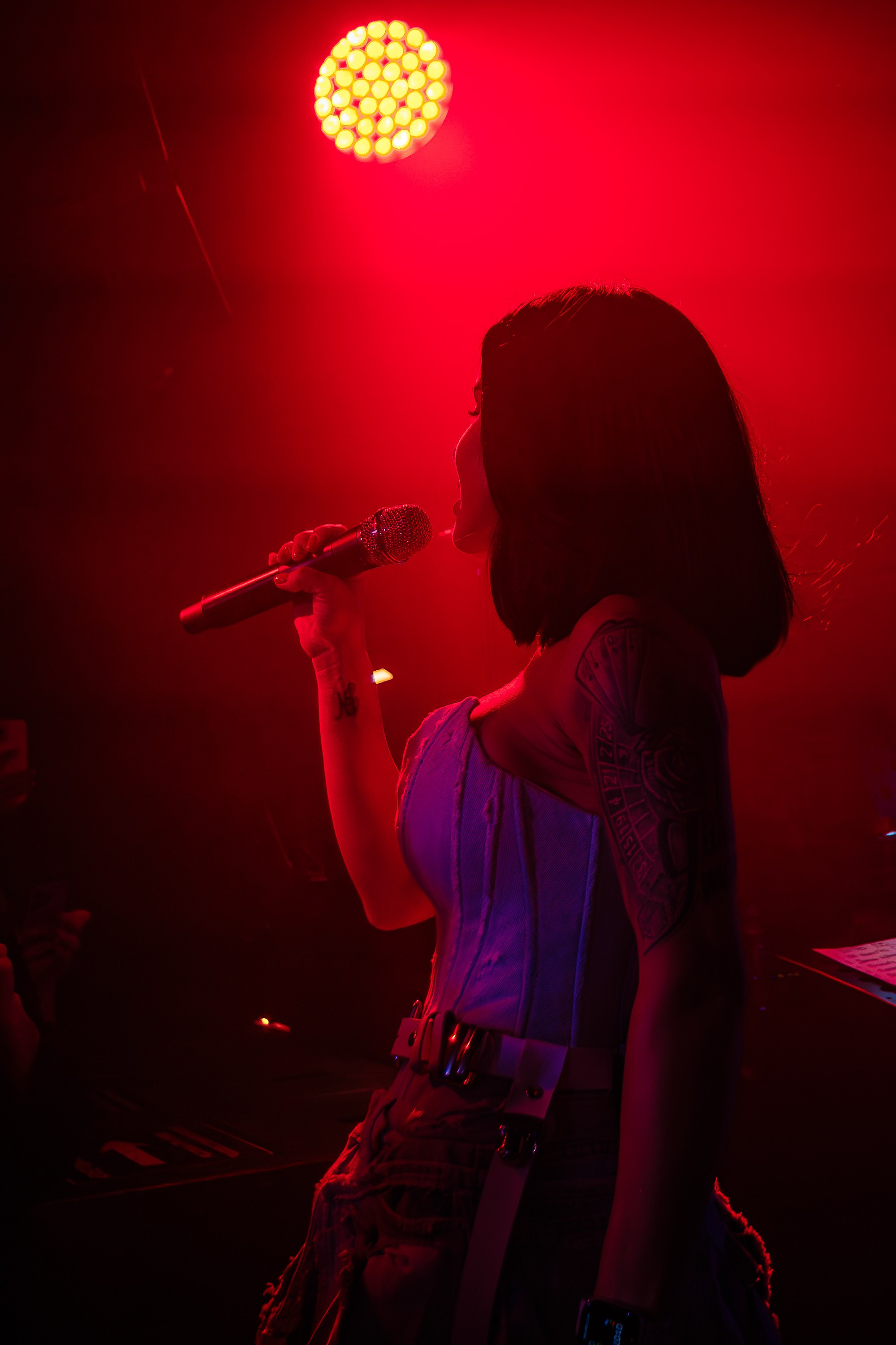 «Юлия Волкова"_Чайка на пляже_Ялта_2.08.2025 г. Аминов Руслан | Фотограф