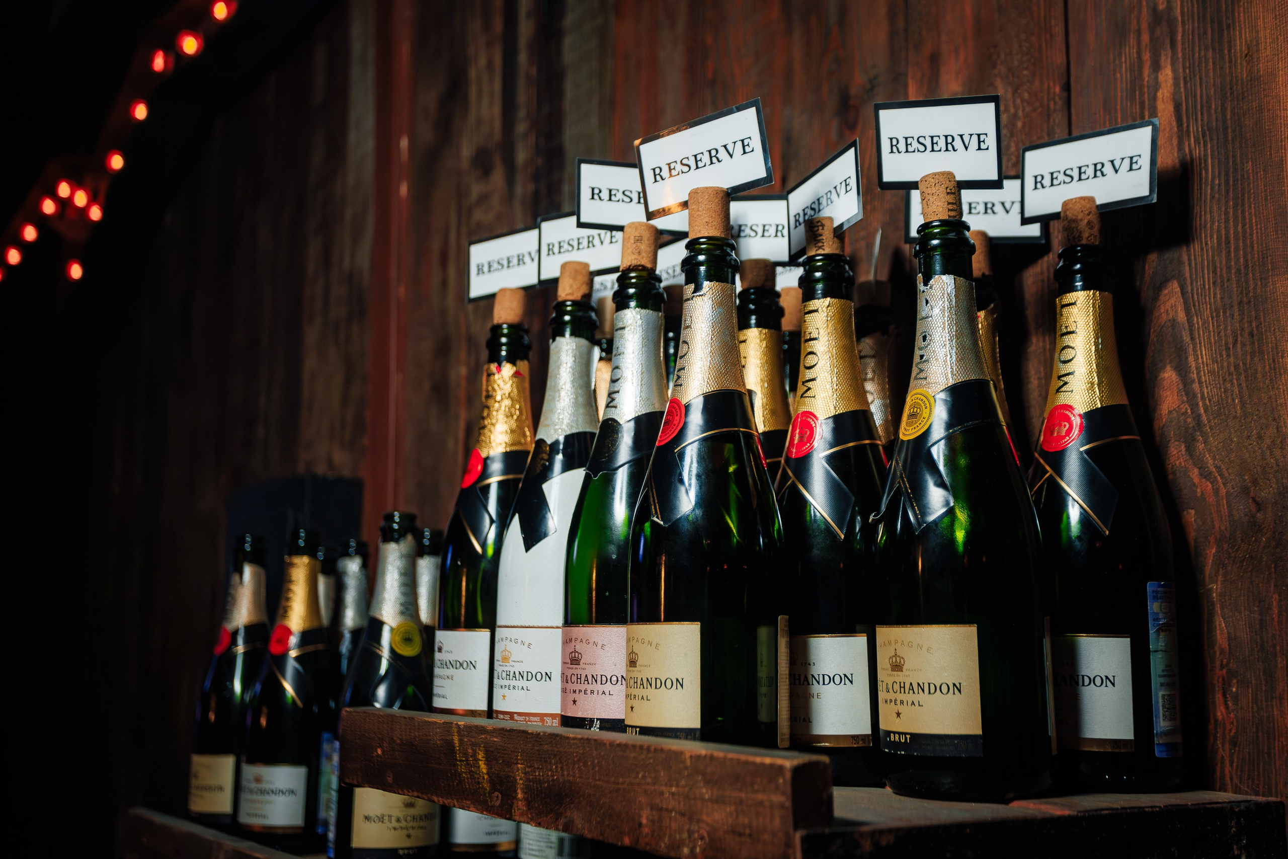 «КРАВЦ"_Чайка на пляже_Ялта_27.08.2025 г. Аминов Руслан | Фотограф