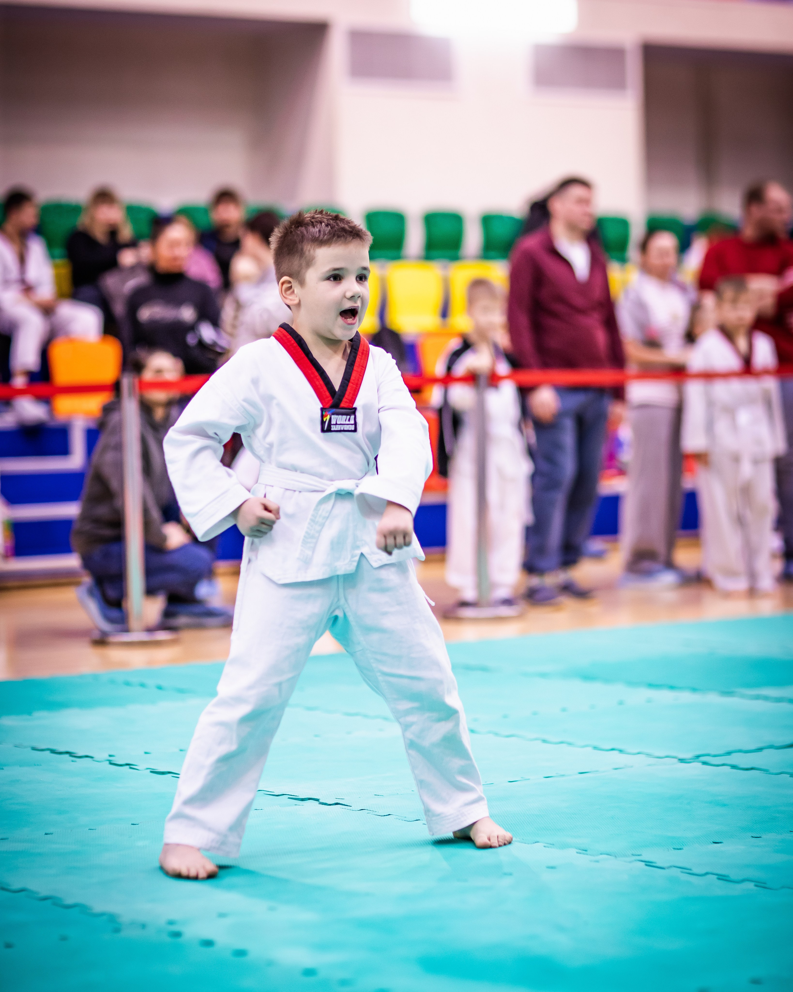 Турнир Федерации детского тхэквондо России по дисциплине ПХУМСЭ. Спортивный фотограф Максим Серегин