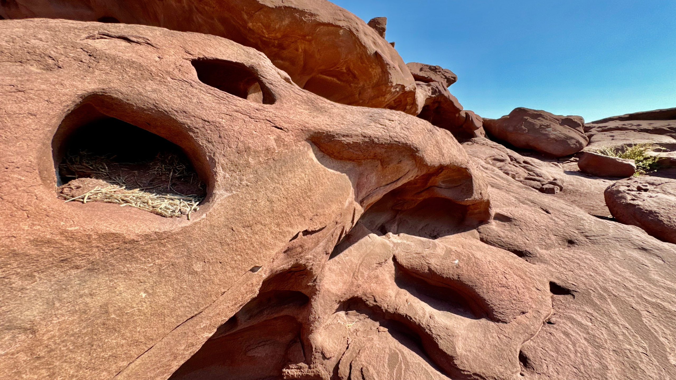 Алтын Эмель. Экскурсии и туры по Алматы