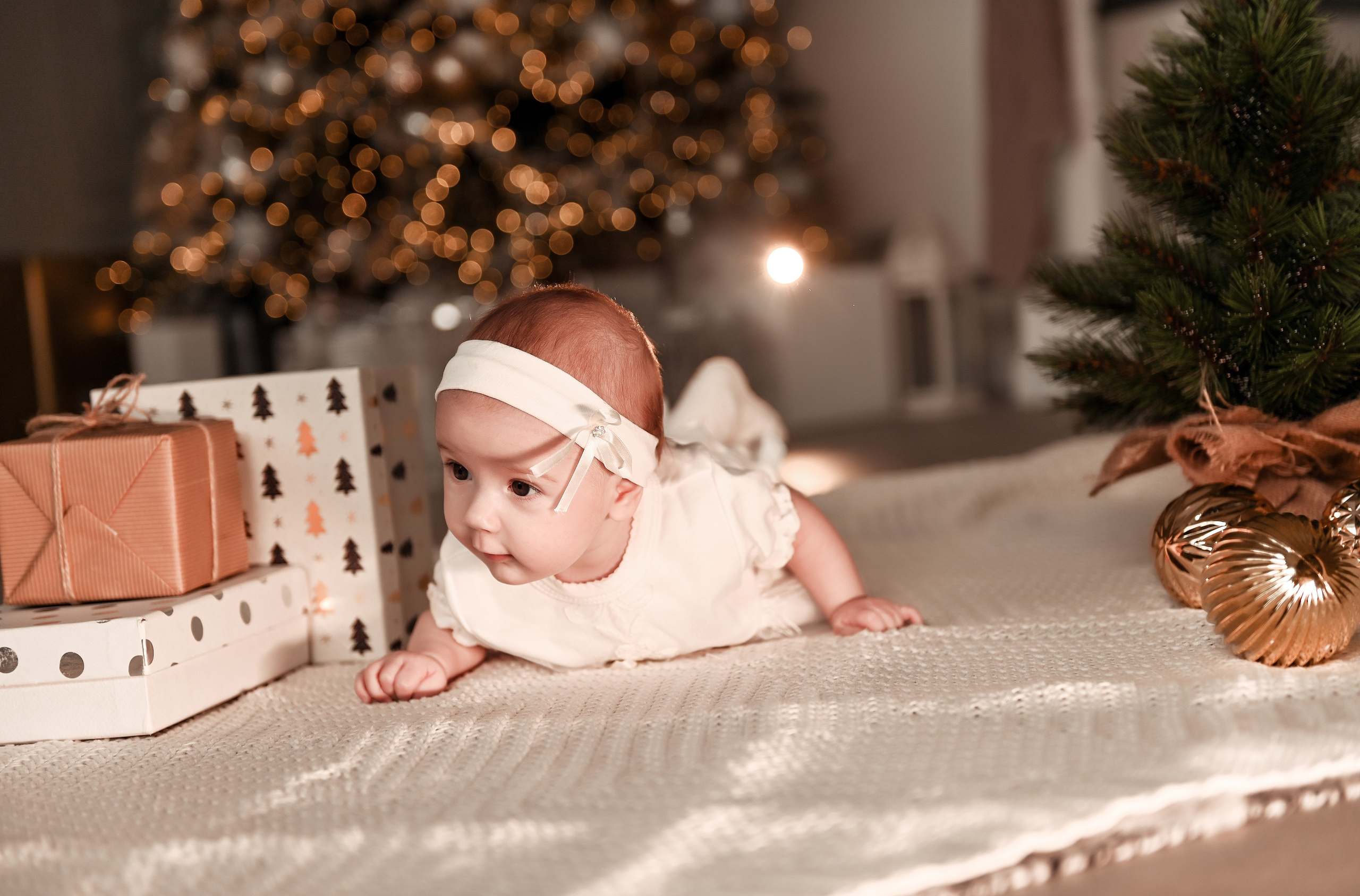 Новогодняя семейная. Свадебный, семейный, детский, контент фотограф в Омске Максим Ильин