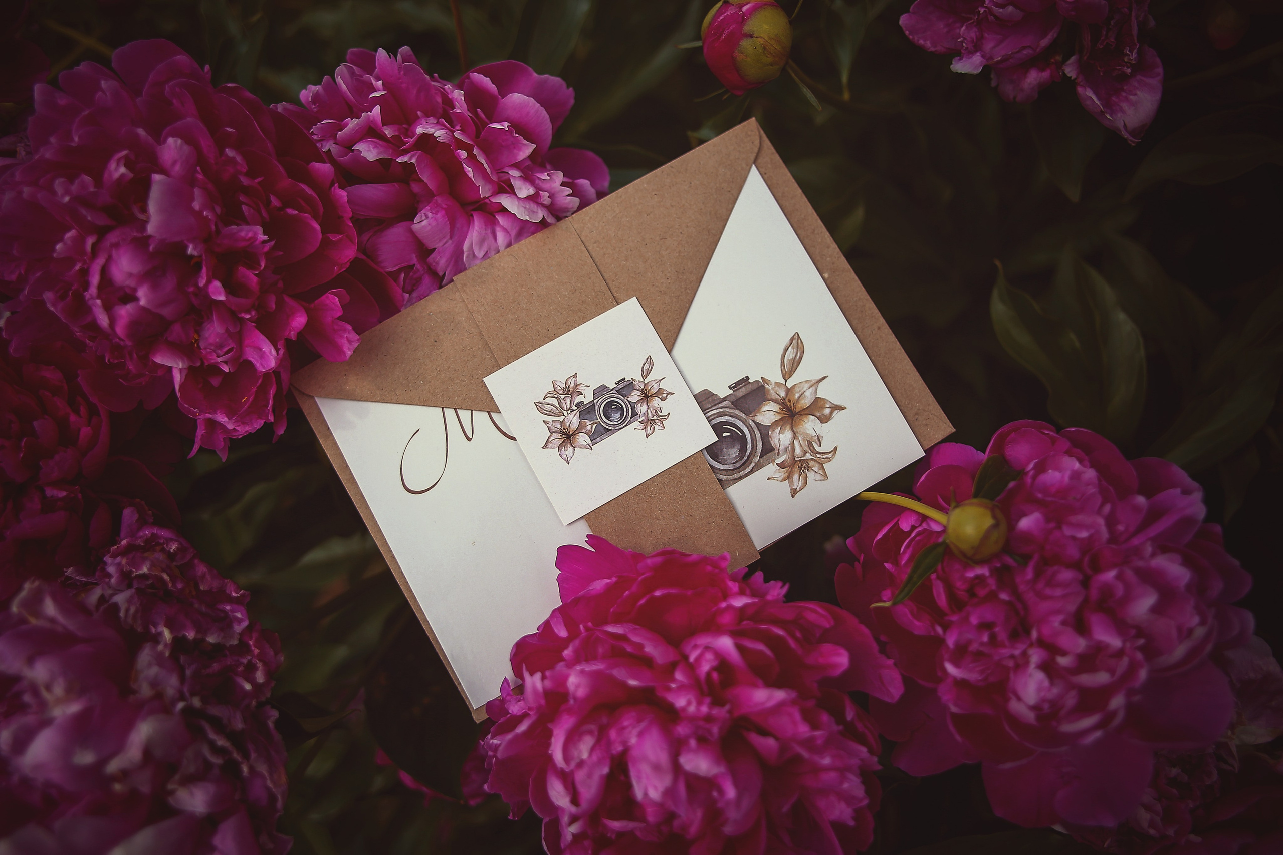 Подарочный сертификат на фотосессию в Ижевске. Детский, семейный фотограф в Ижевске и Москве Аксинья Лысенкова ADEN