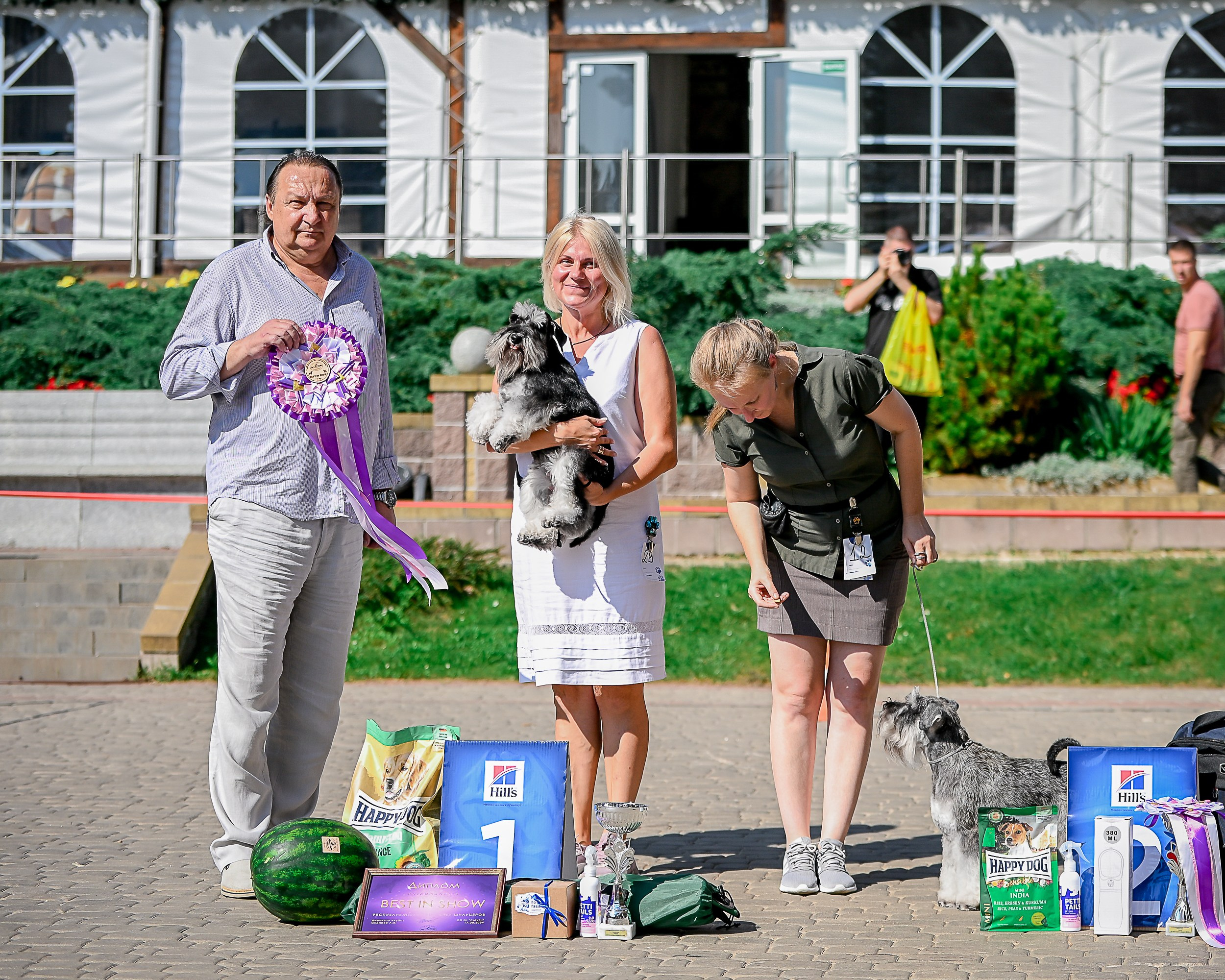 Тахо/ Delinso Balance Onyrico Tahoe. Питомник цвергшнауцеров в Беларуси «Делинсо Бэлэнс»