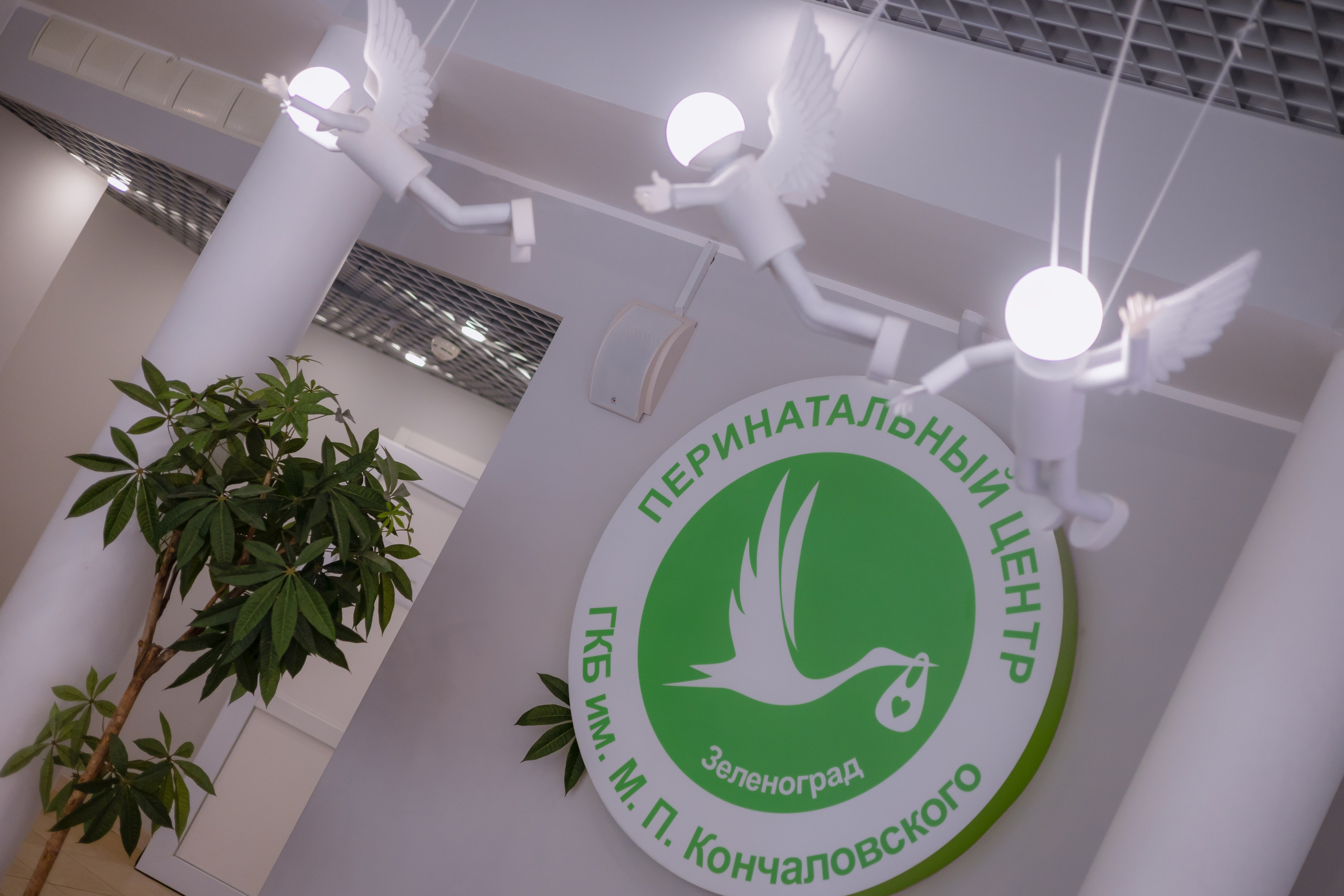 Выписка Даниила. Детский и семейный фотограф Евгения Вахнеева Москва Зеленоград