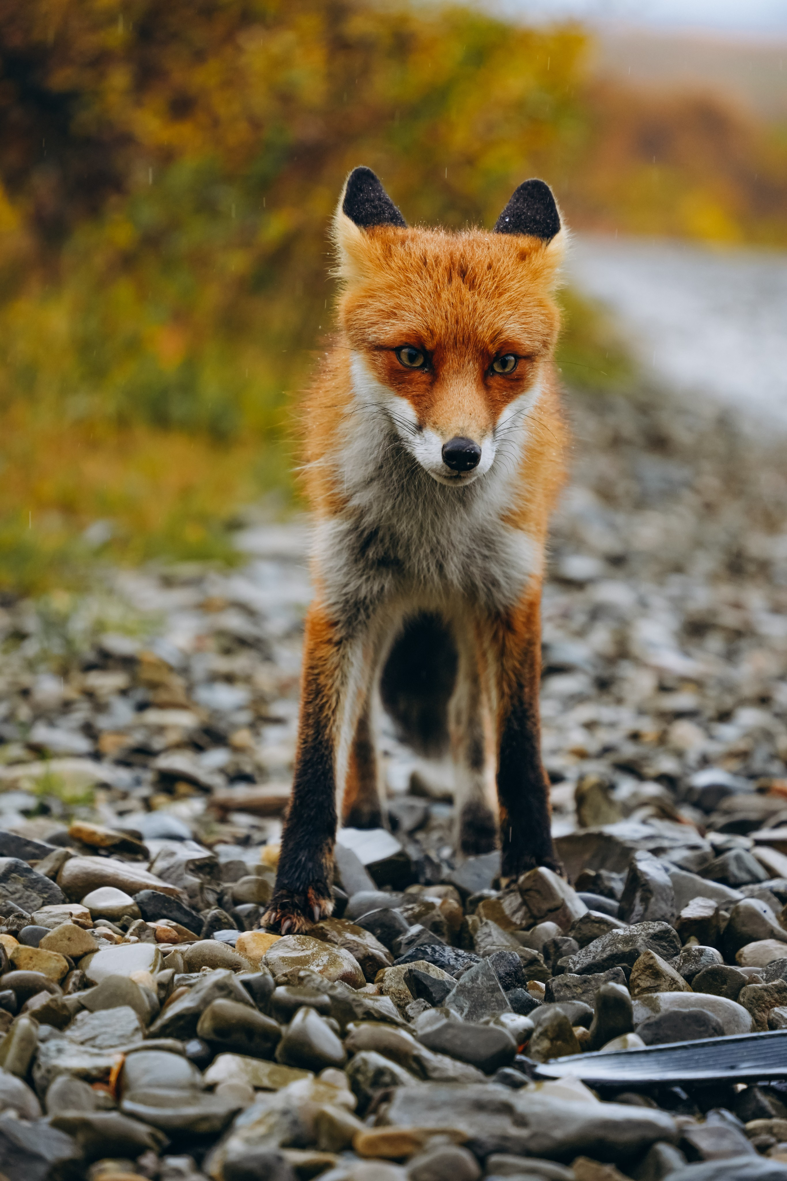СЕВЕР. Event фотограф Степанова Александра