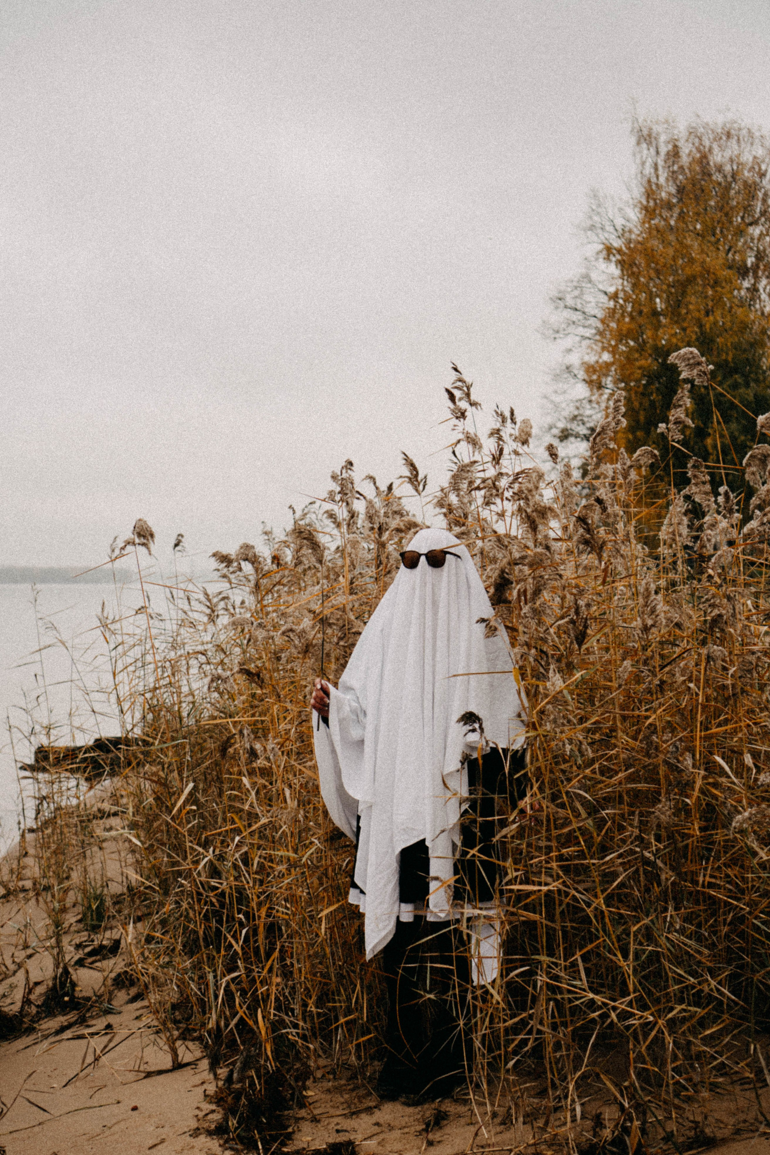 Осеняя. Профессиональный фотограф, Санкт-Петербург — Виктория Богомолова