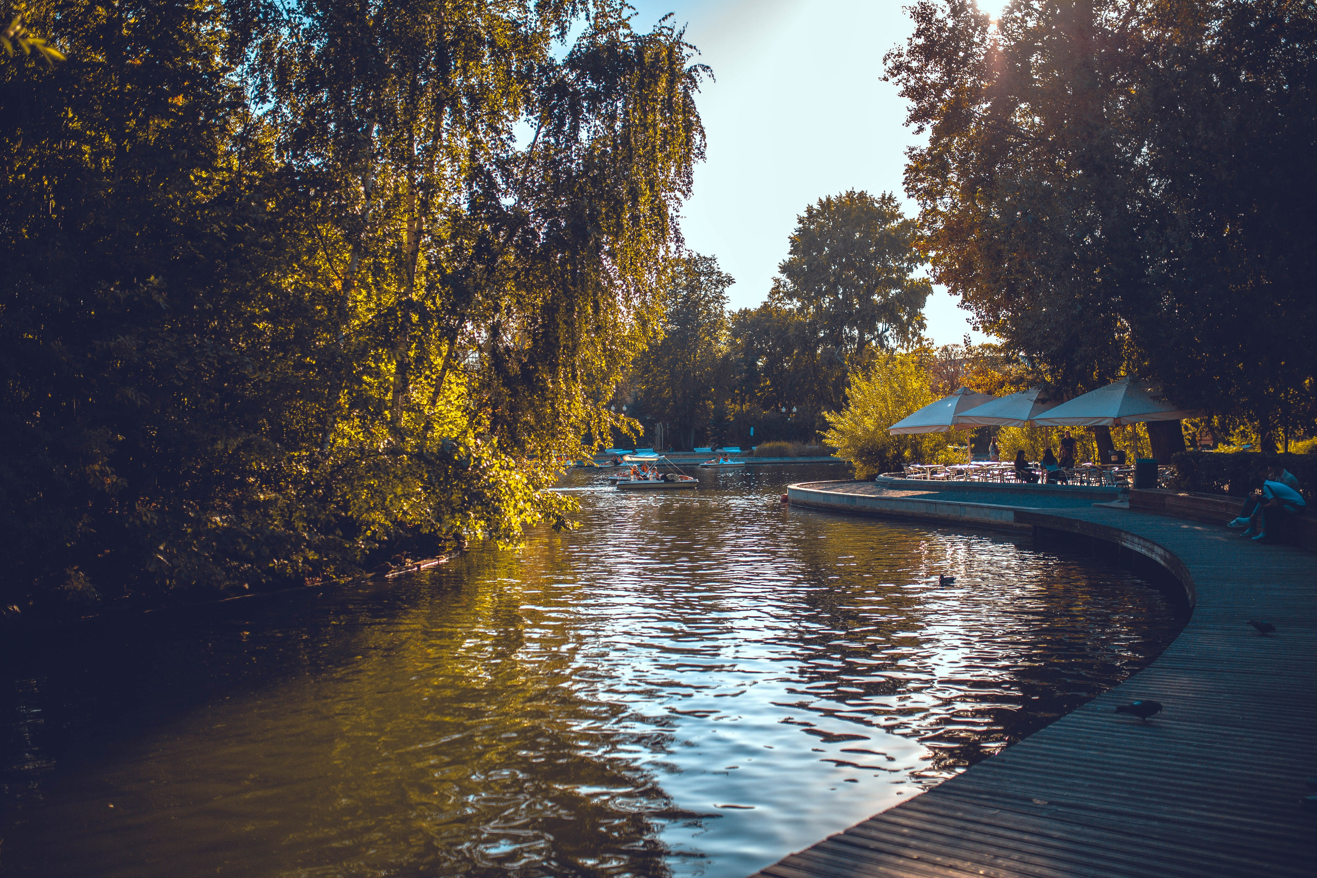 Флора и фауна. Sergey Shapovalov, фотограф, видеограф, графический дизайнер, монтажер