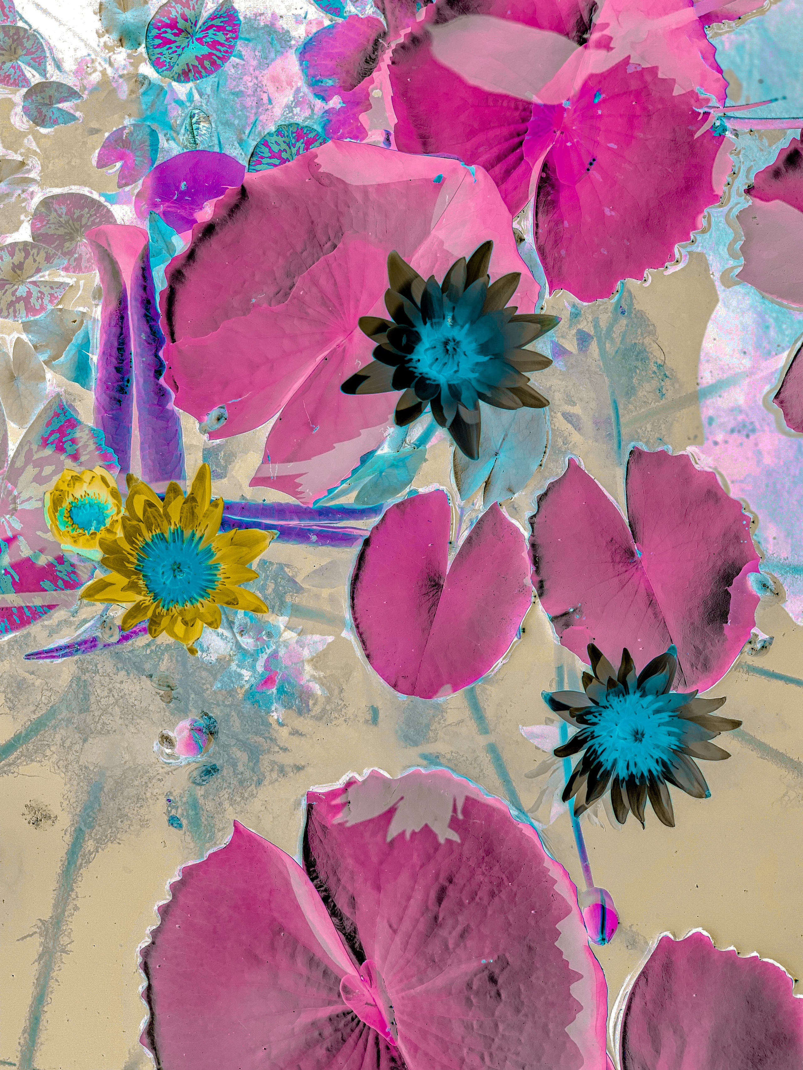 Эксперименты. Колесникова Мария Арт-фотограф