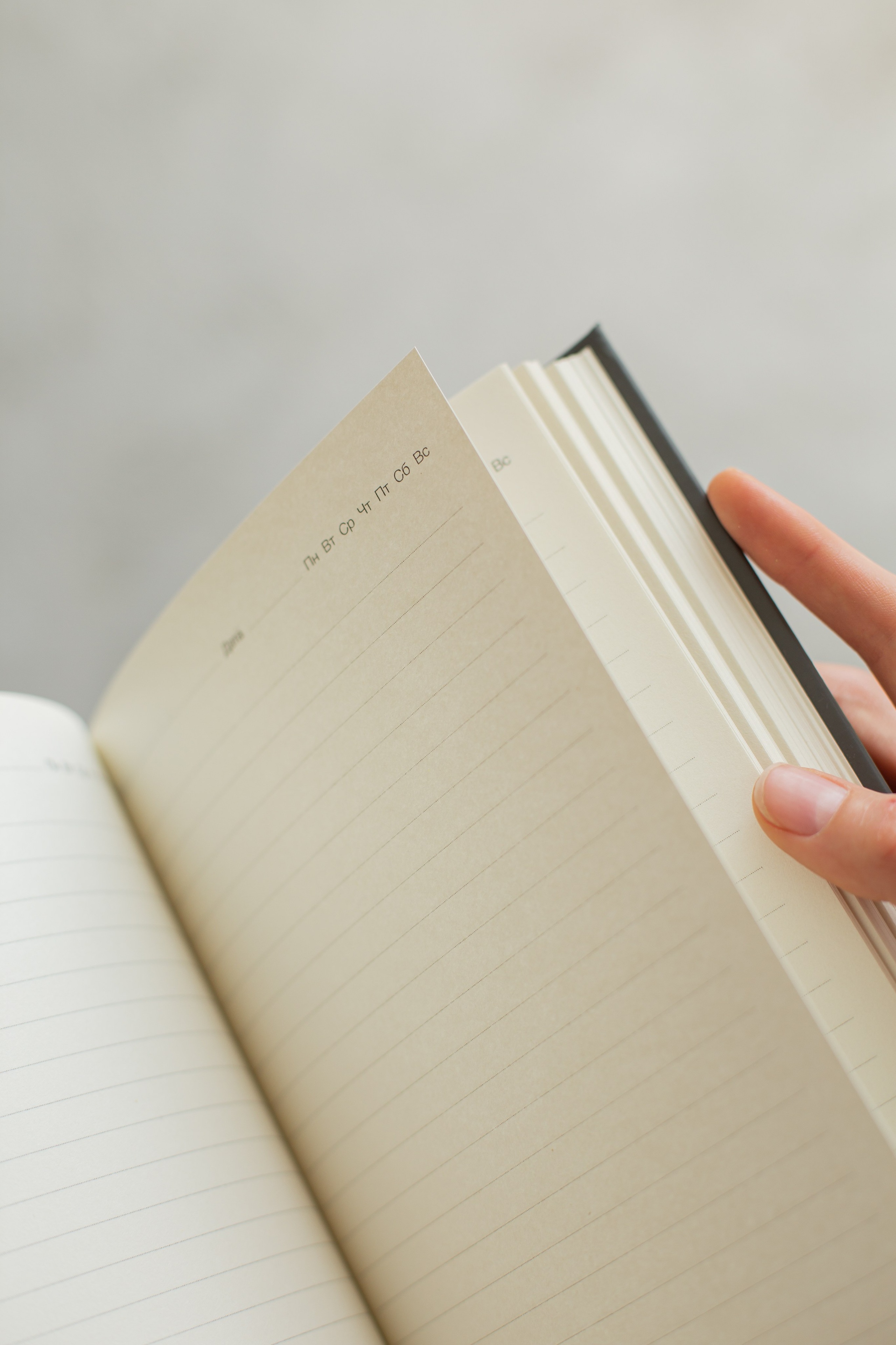 Chancellery shop. Fotograf u Crnoj Gori-porodično fotografisanje sa djecom, lovestory, nekretnine