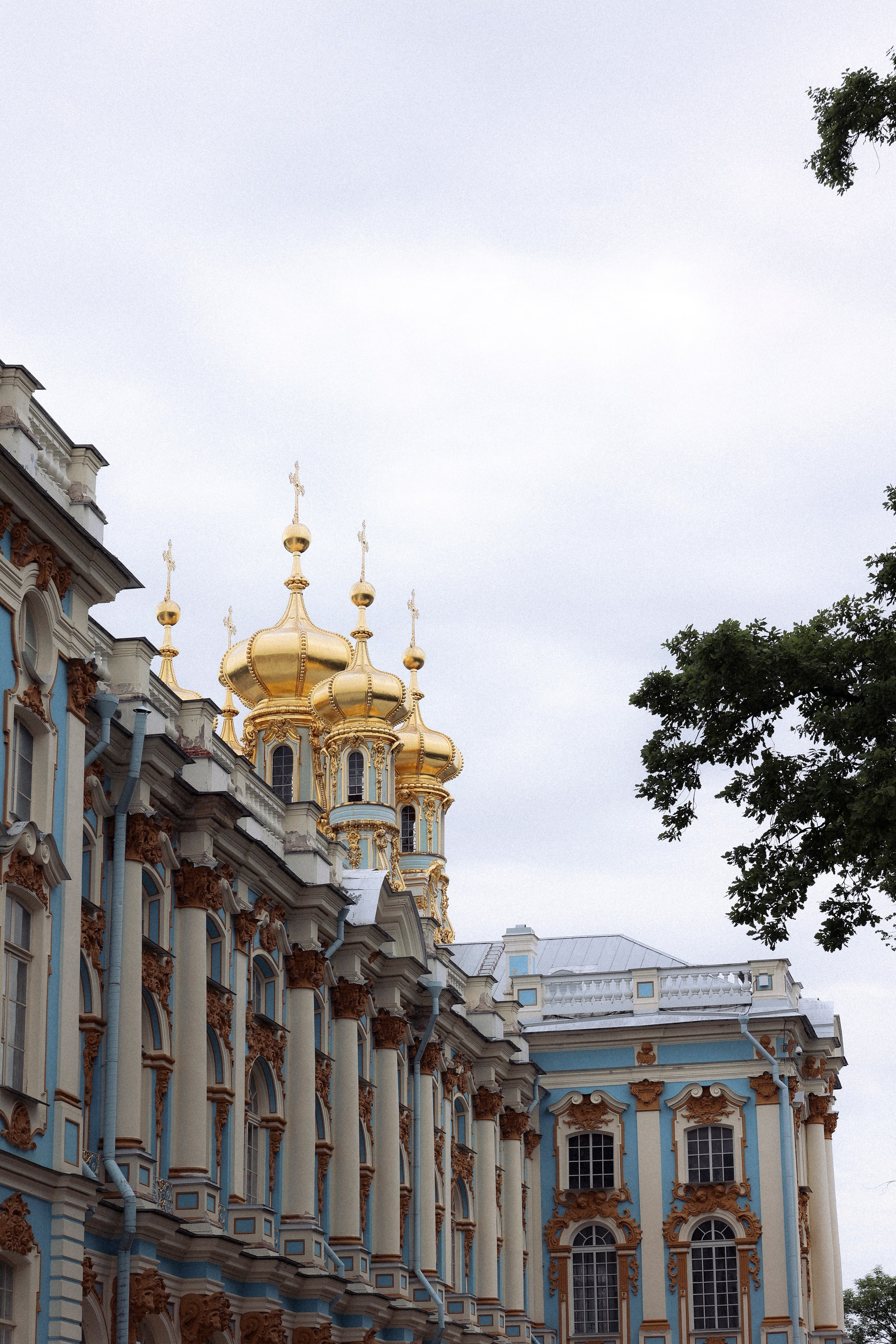 Алина и Игорь. Фотограф НатаФото (Наталья Яковенко) Дмитров Москва Питер