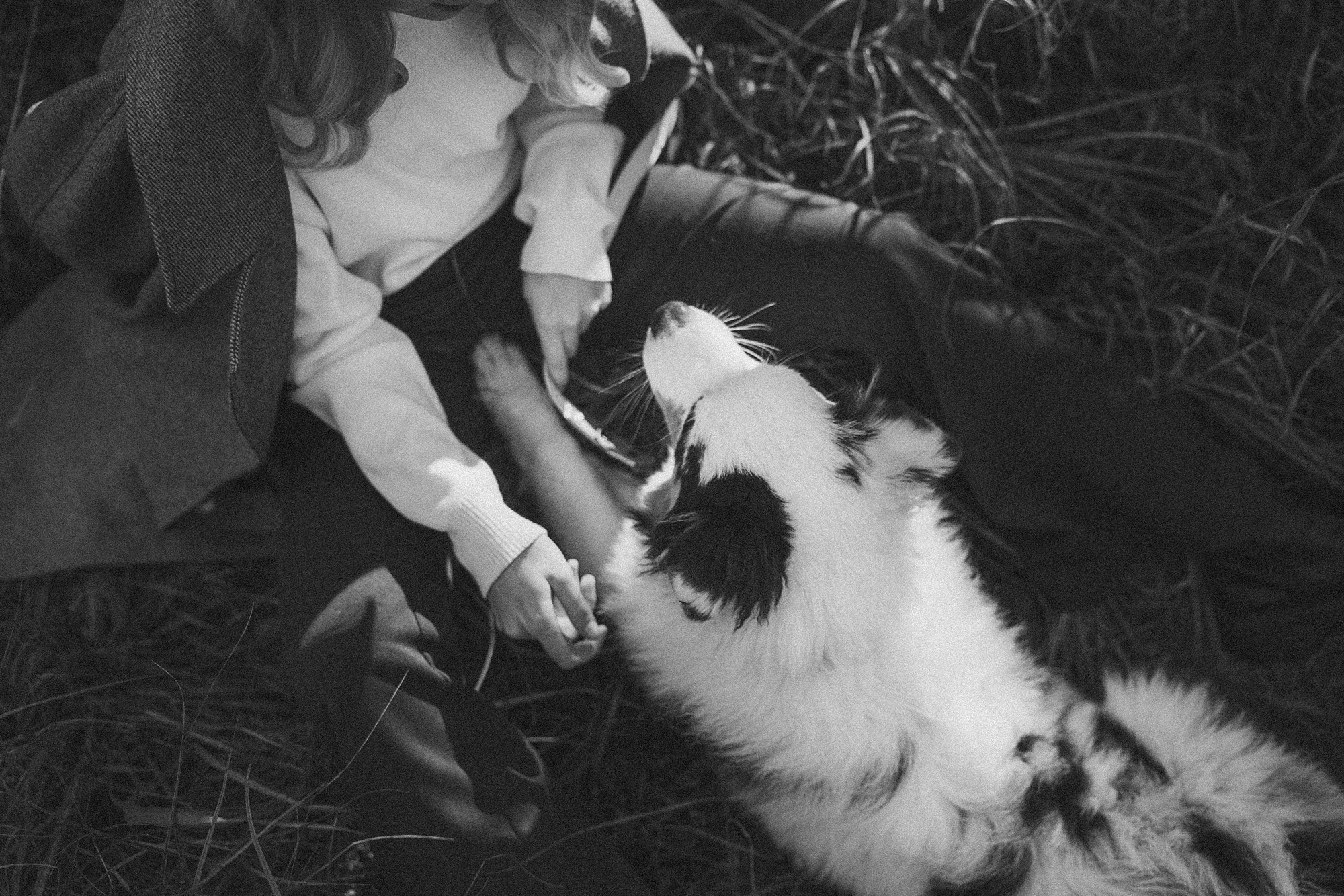 Лиза и Бублик. Фотограф анималист в Москве и Санкт-Петербурге Свиридова Анна