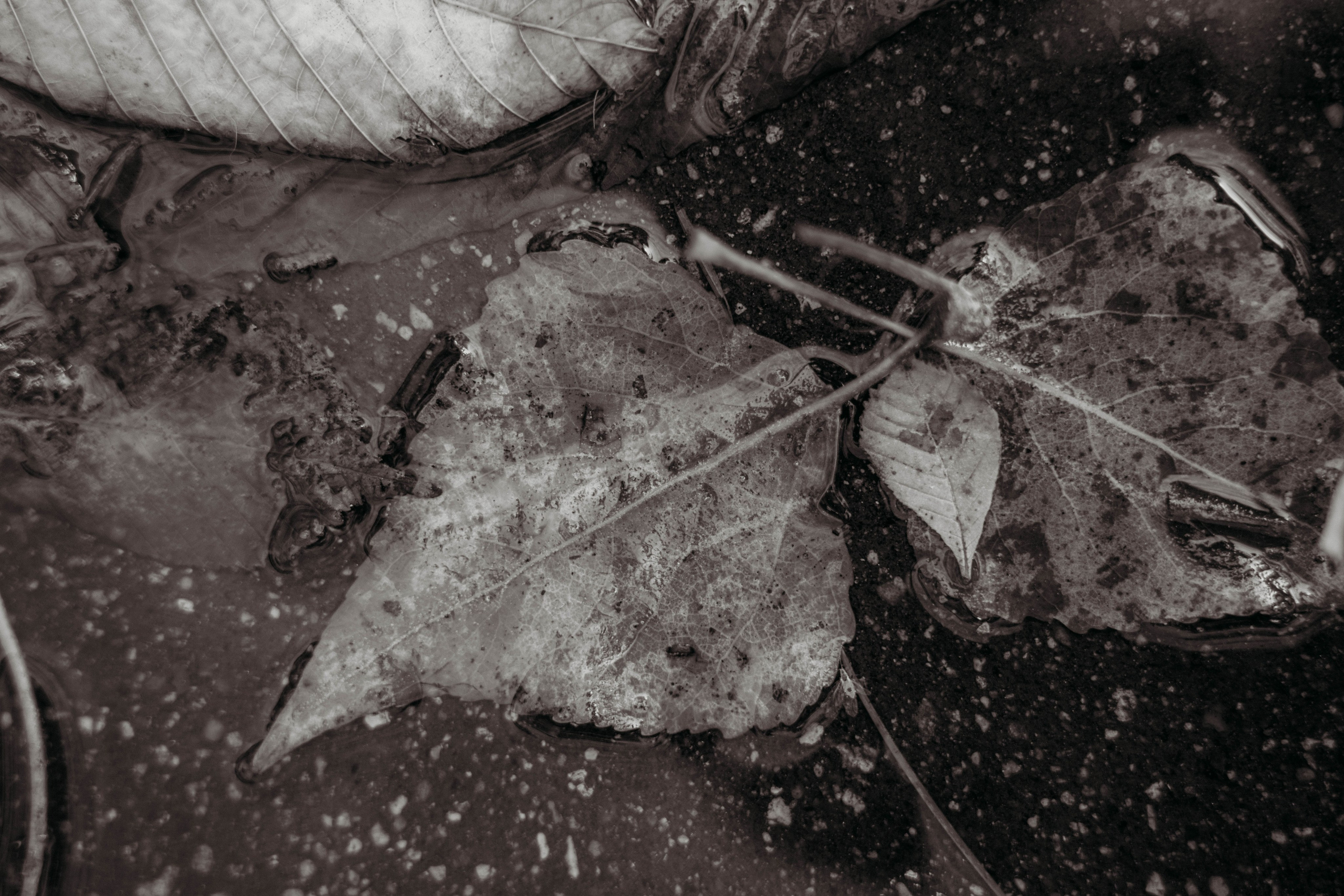 Лав стори. Портретный фотограф в Москве — Захарова Полина