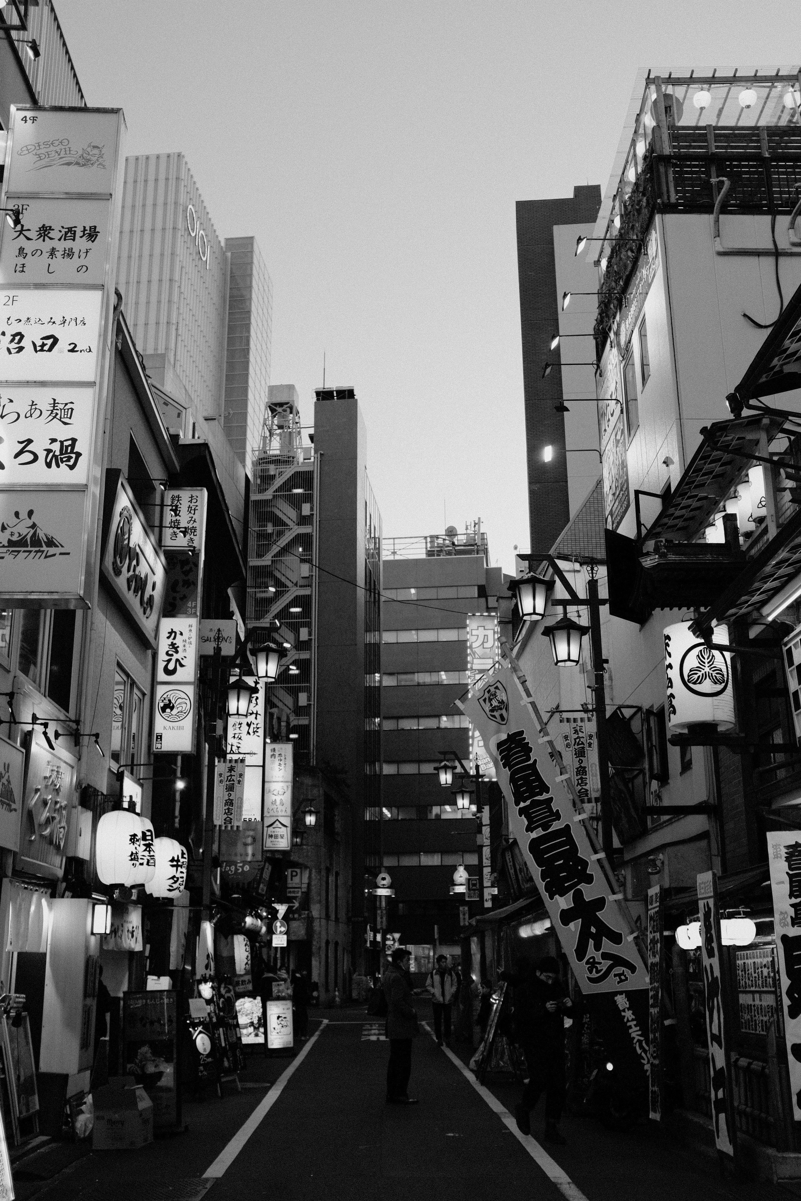 Faces of Tokyo. Regina Platonova