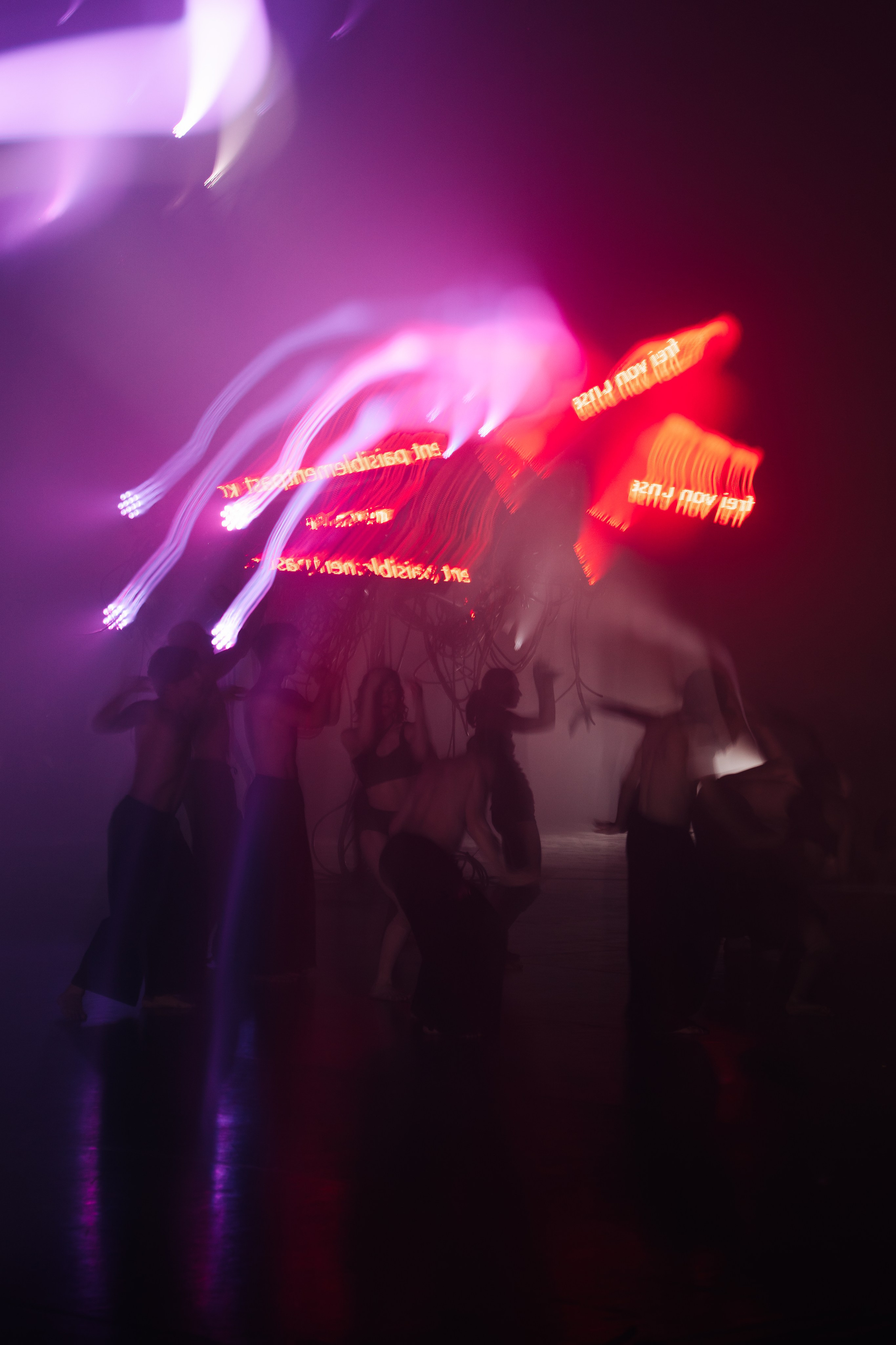 PERFORMA, The Hour of the Horse. @tomrus: Рустам Шагиморданов — фотограф