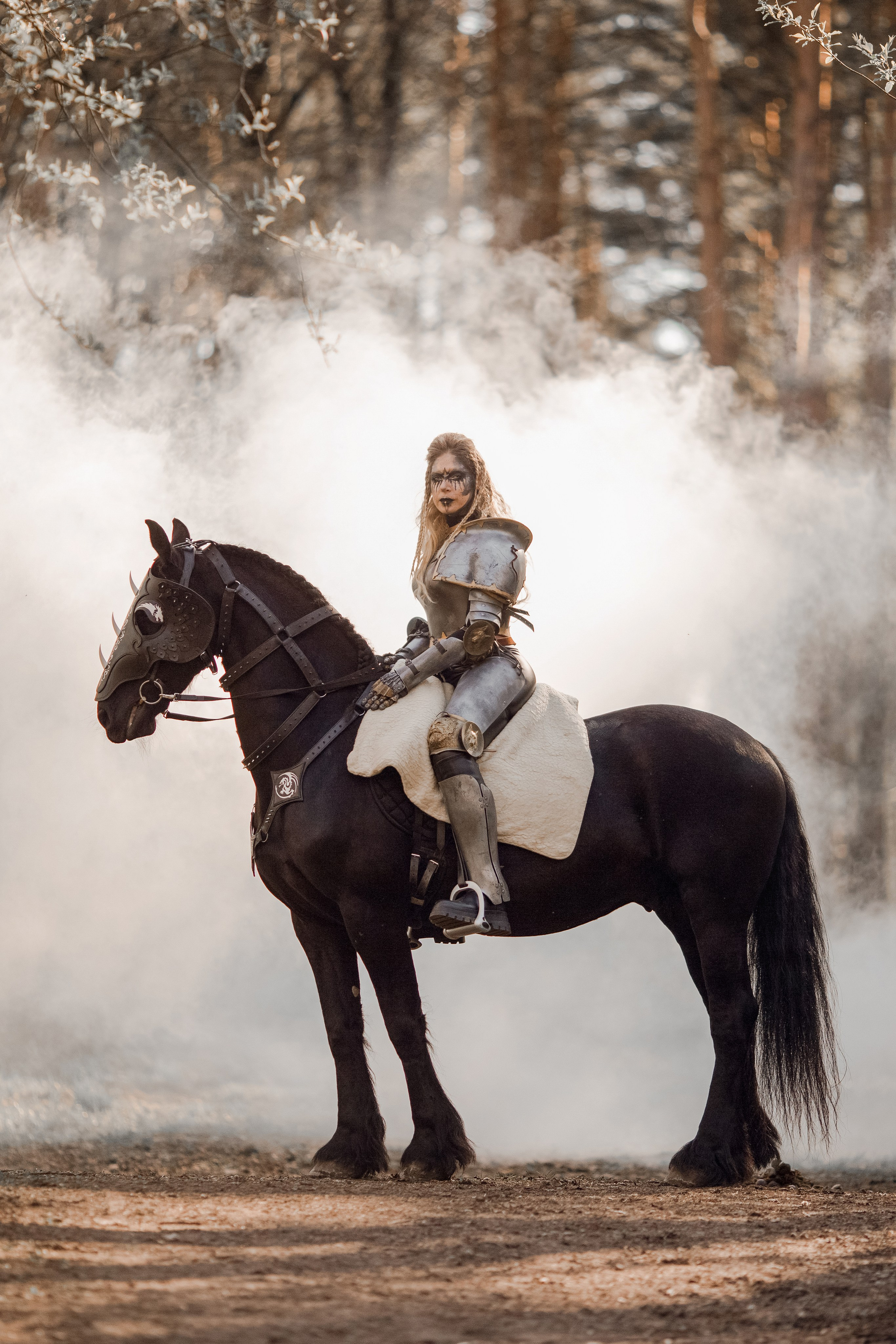 Фотосессия в рыцарских доспехах с лошадью