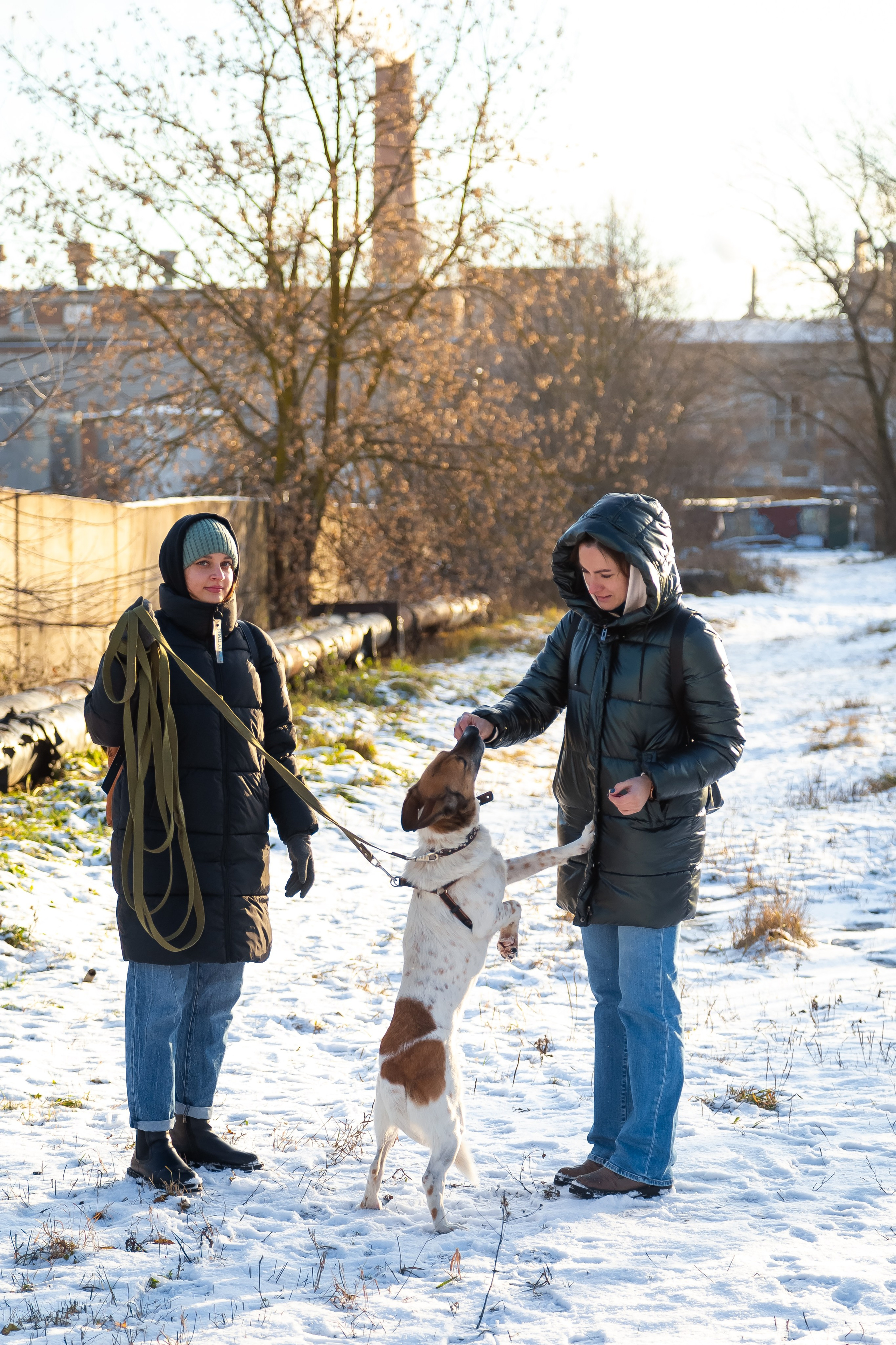 Petshop Забота. Фотограф в Санкт-Петербурге Чумаков Семен