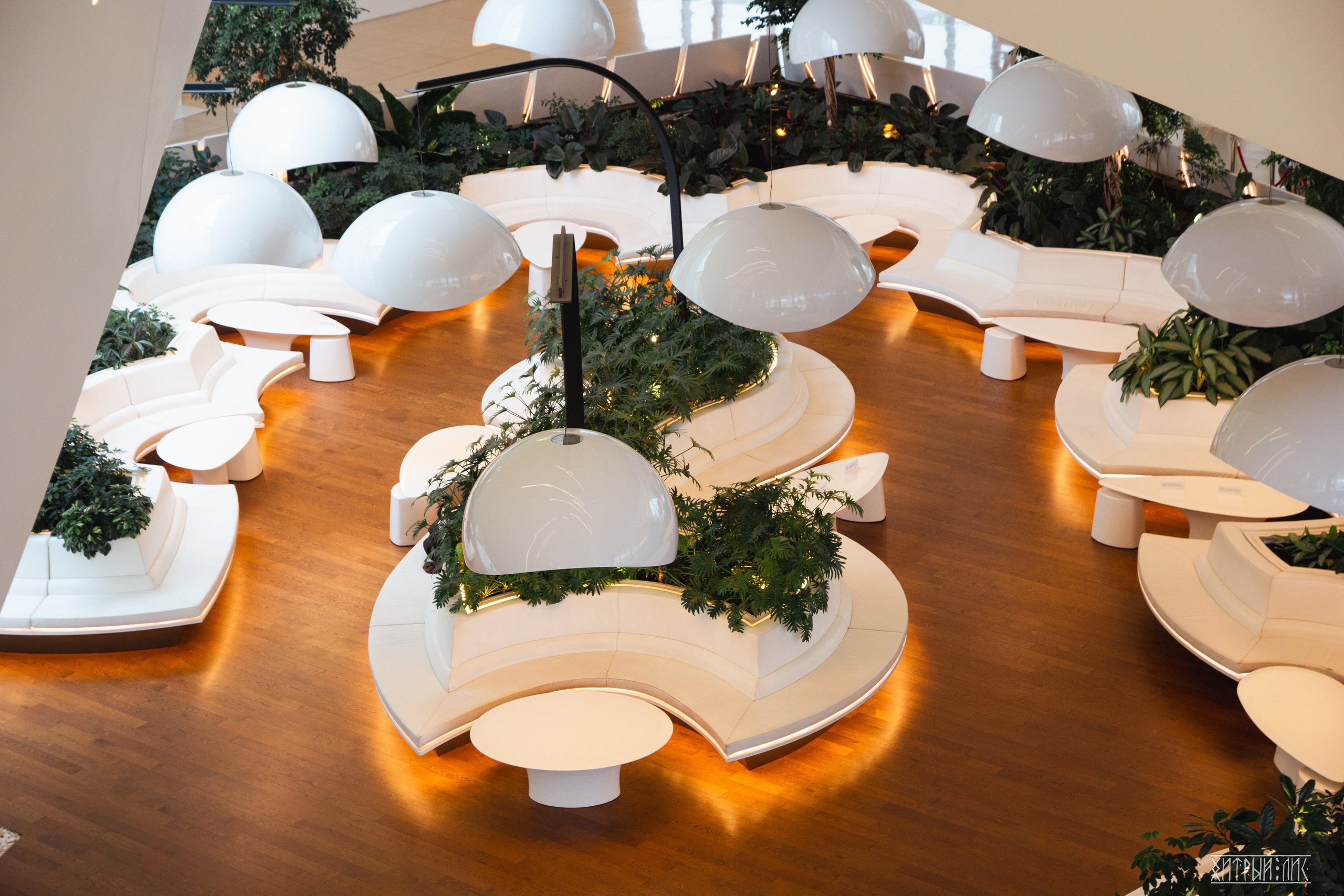 Баку. Фотограф-путешественник Самойлов Максим «Sly Fox»