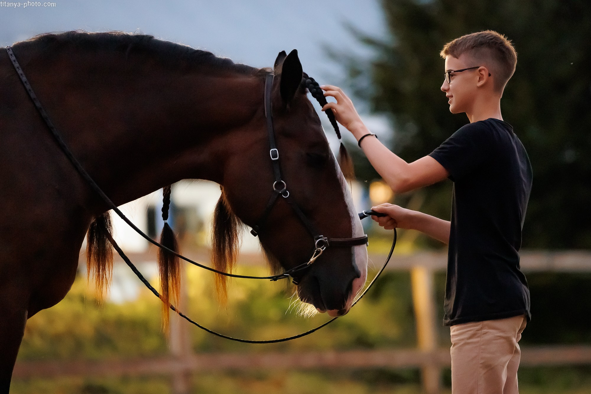 Закатная семейная фотосессия: про Настю и её дружную семью. Фотограф собак, фотограф-анималист Аня Титова (Titanya). Москва