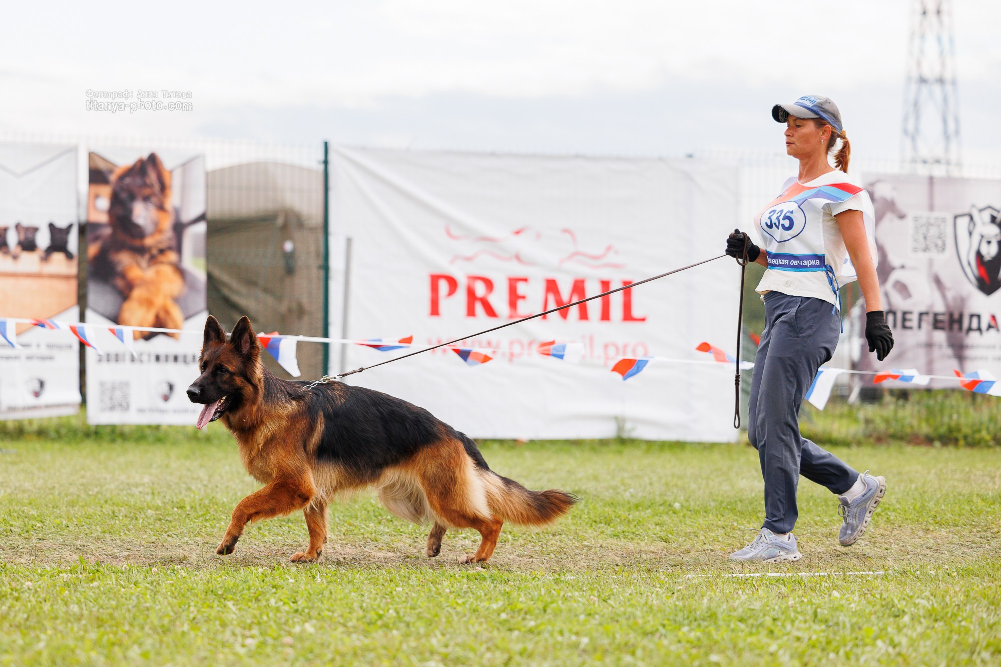 Немецкие овчарки: фото из рингов и вне ринга, мутпроба (фотографии с выставок). Фотограф собак, фотограф-анималист Аня Титова (Titanya). Москва