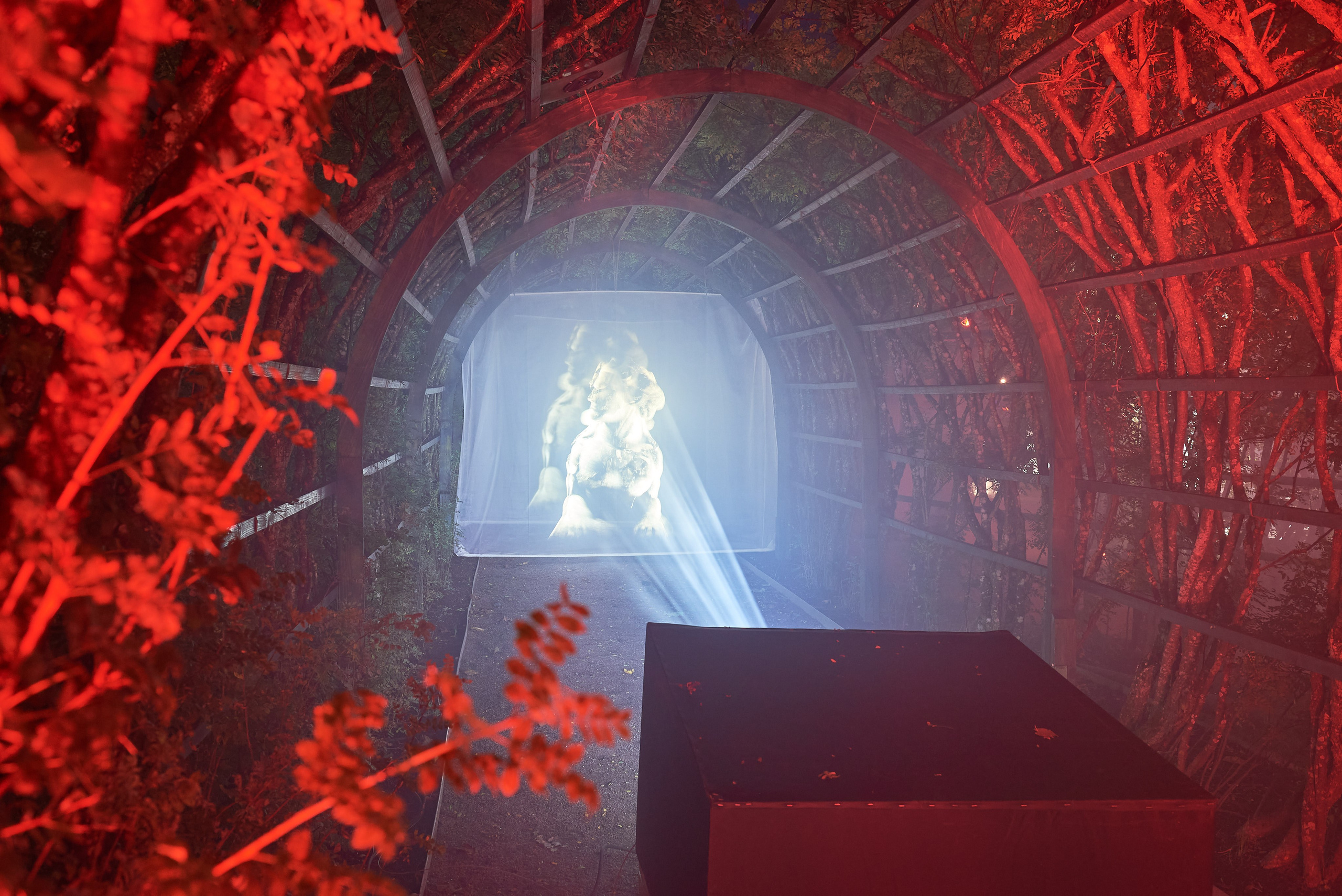 Ночь Света 2025