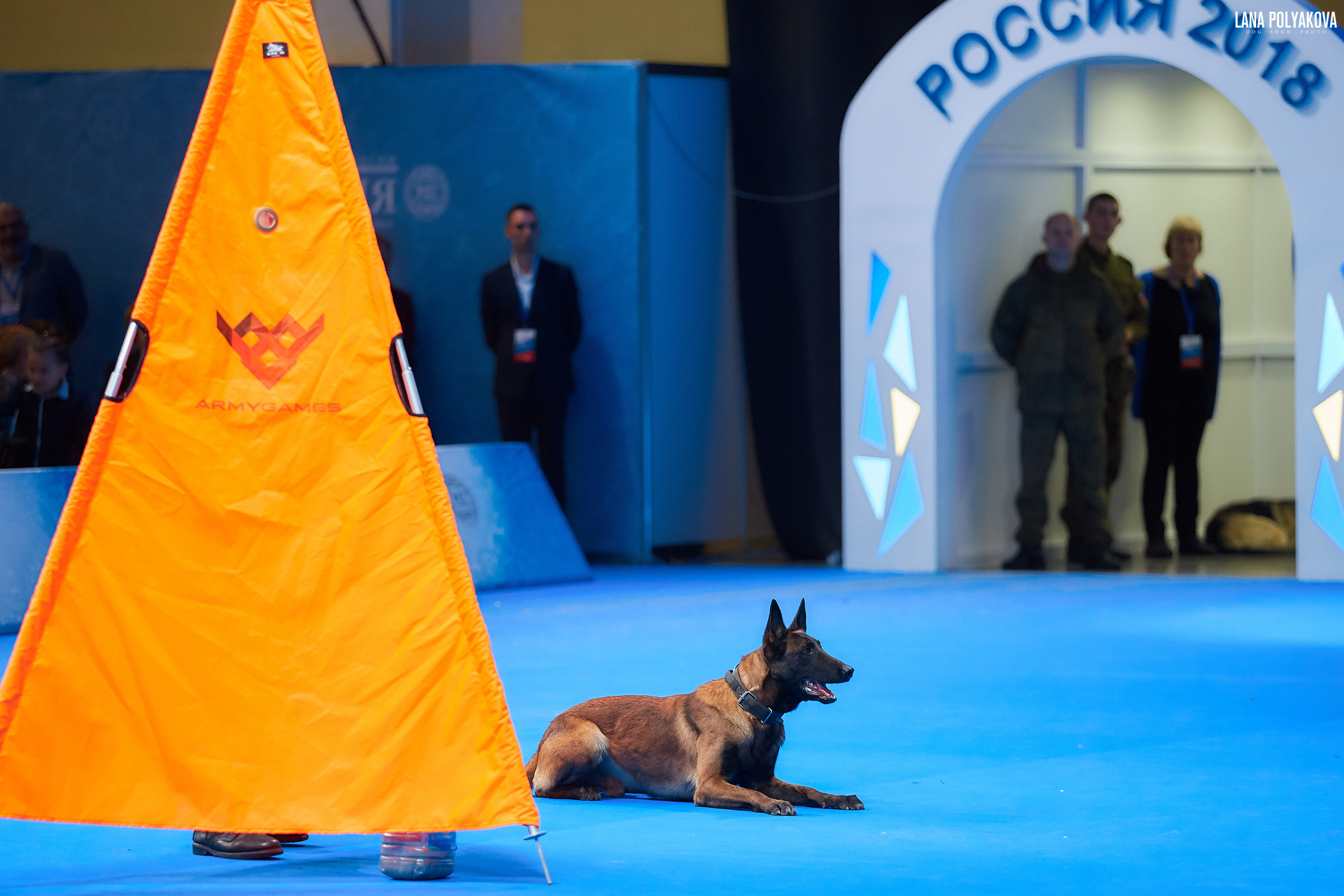 Малинуа
Главный ринг
РОССИЯ - 2018, 2 день
04.11.2018