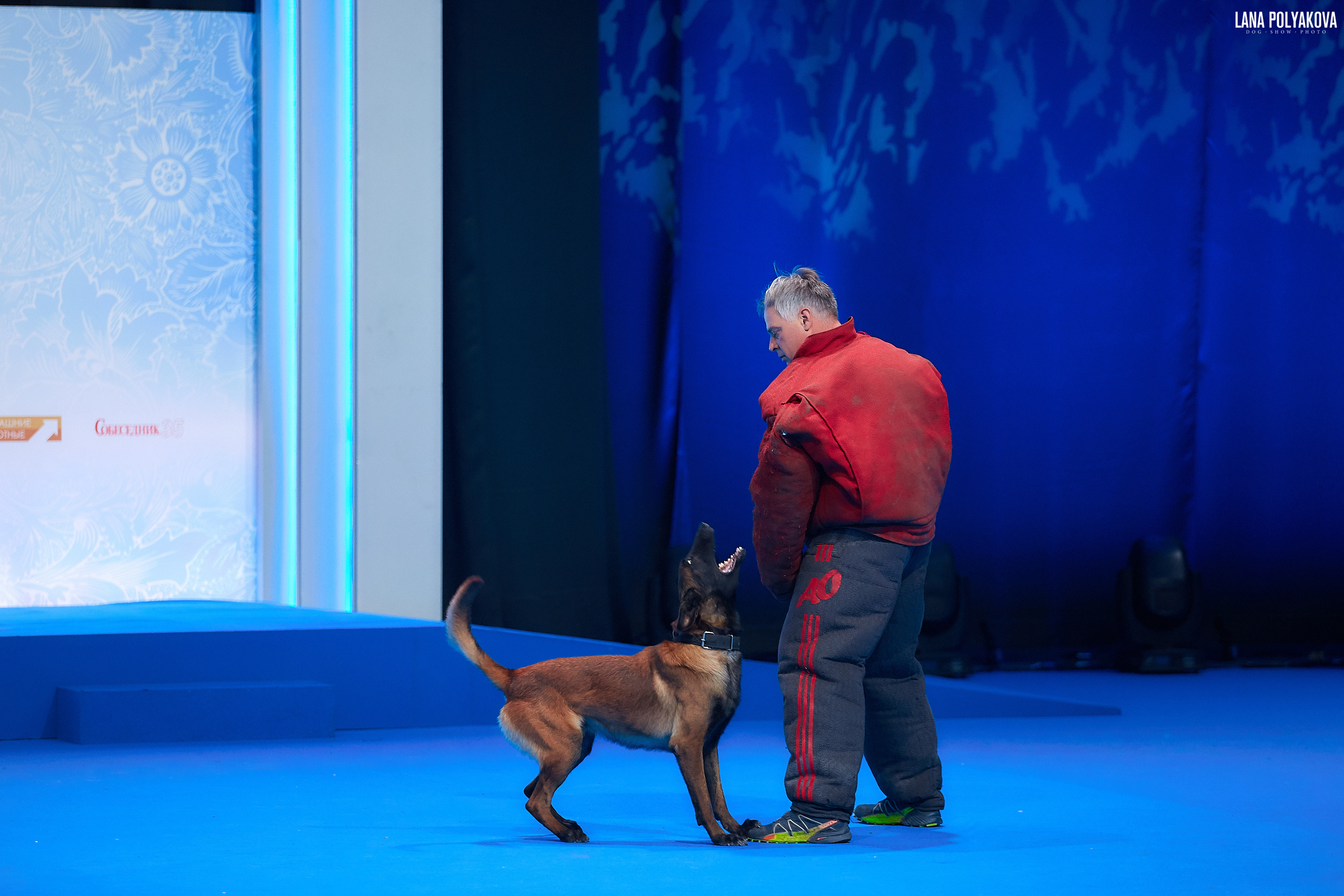 Малинуа
Главный ринг
РОССИЯ - 2018, 2 день
04.11.2018