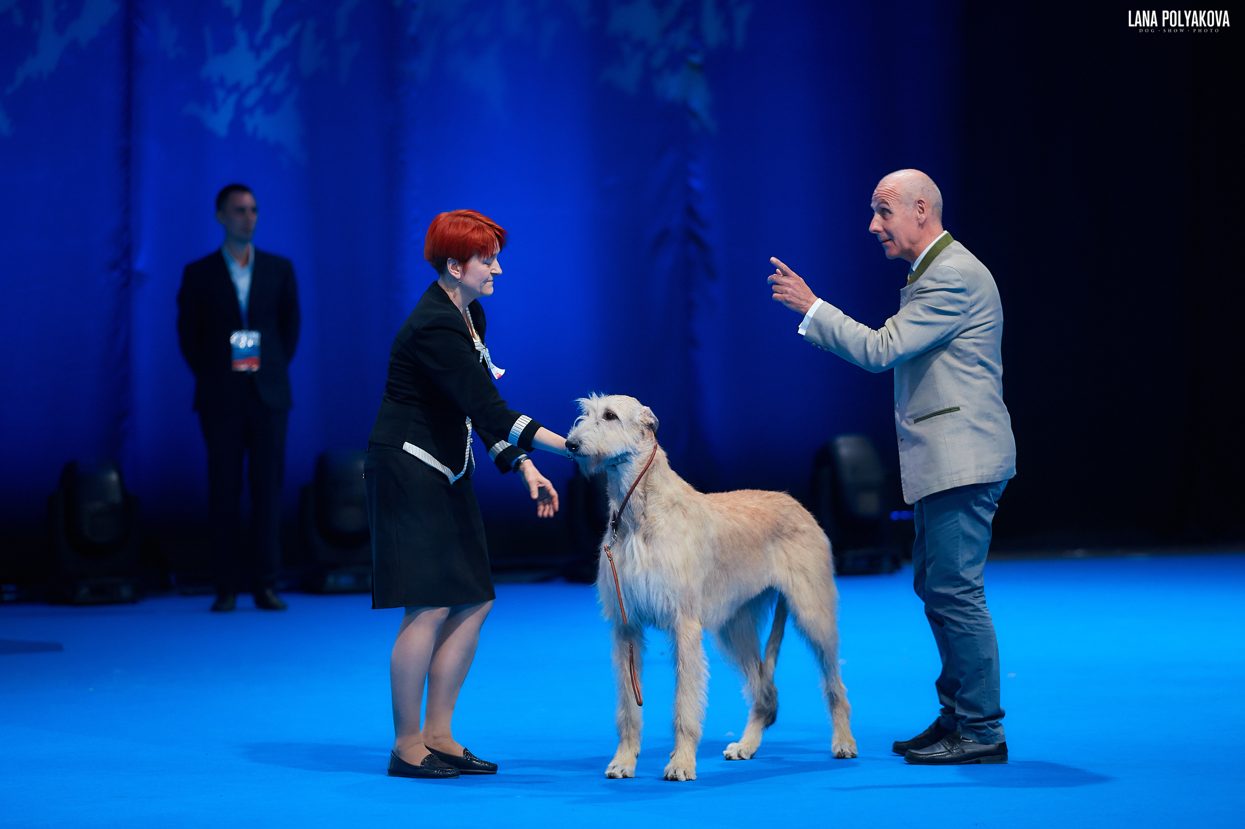Ирландский волкодав
Главный ринг
РОССИЯ - 2018, 2 день
04.11.2018