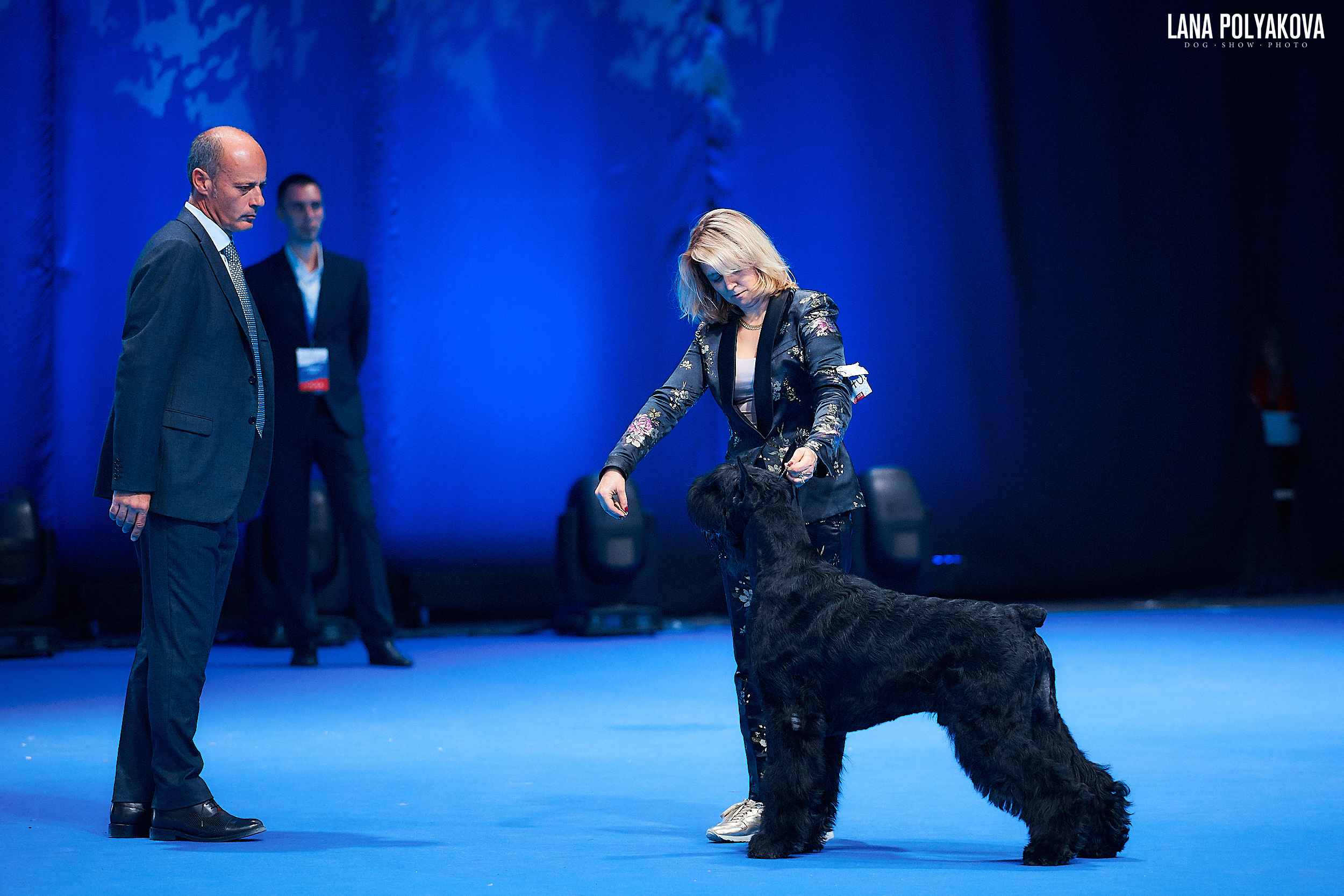 Ризеншнауцер
Главный ринг
РОССИЯ - 2018, 2 день
04.11.2018