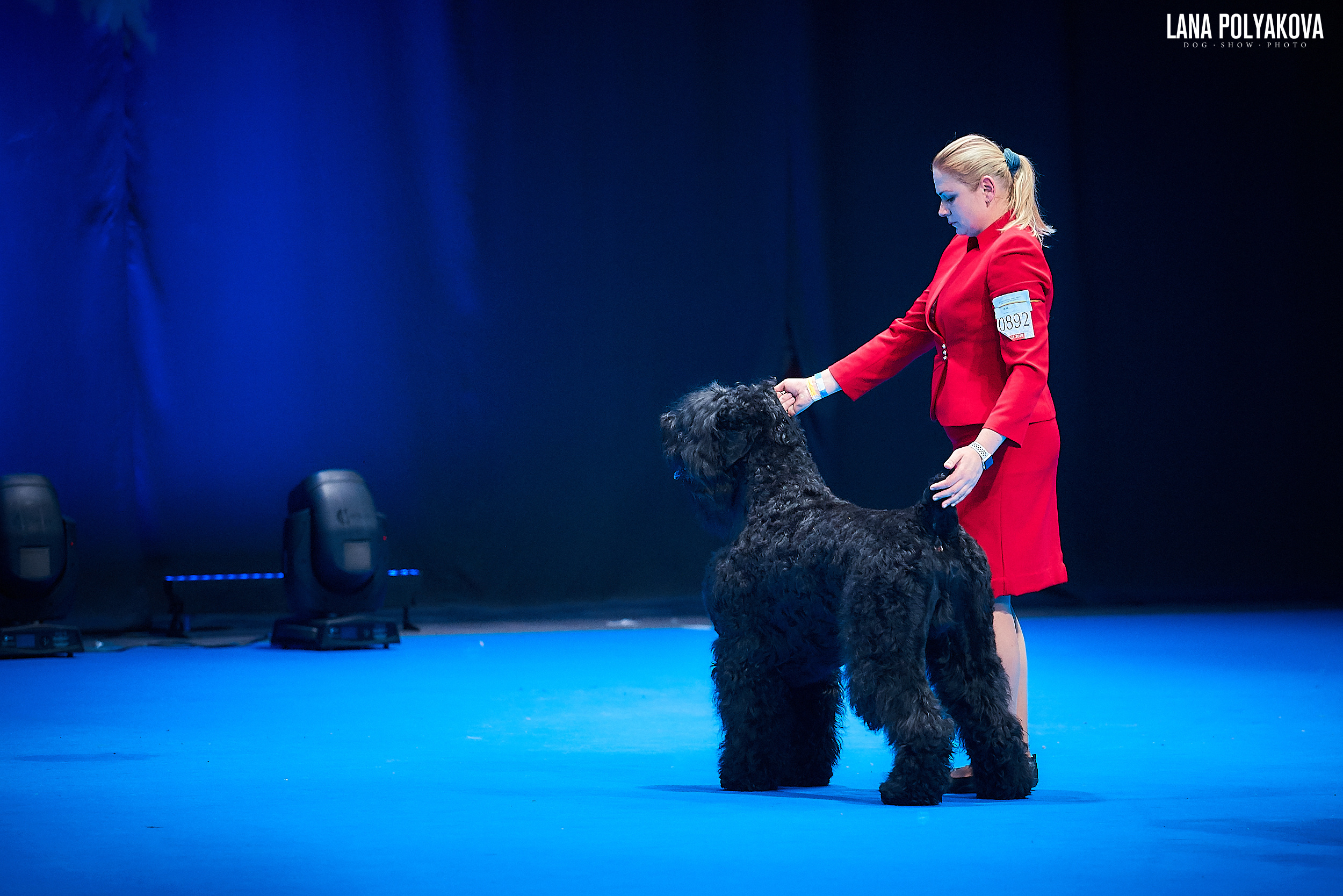 Русский черный терьер
Главный ринг
РОССИЯ - 2018, 2 день
04.11.2018