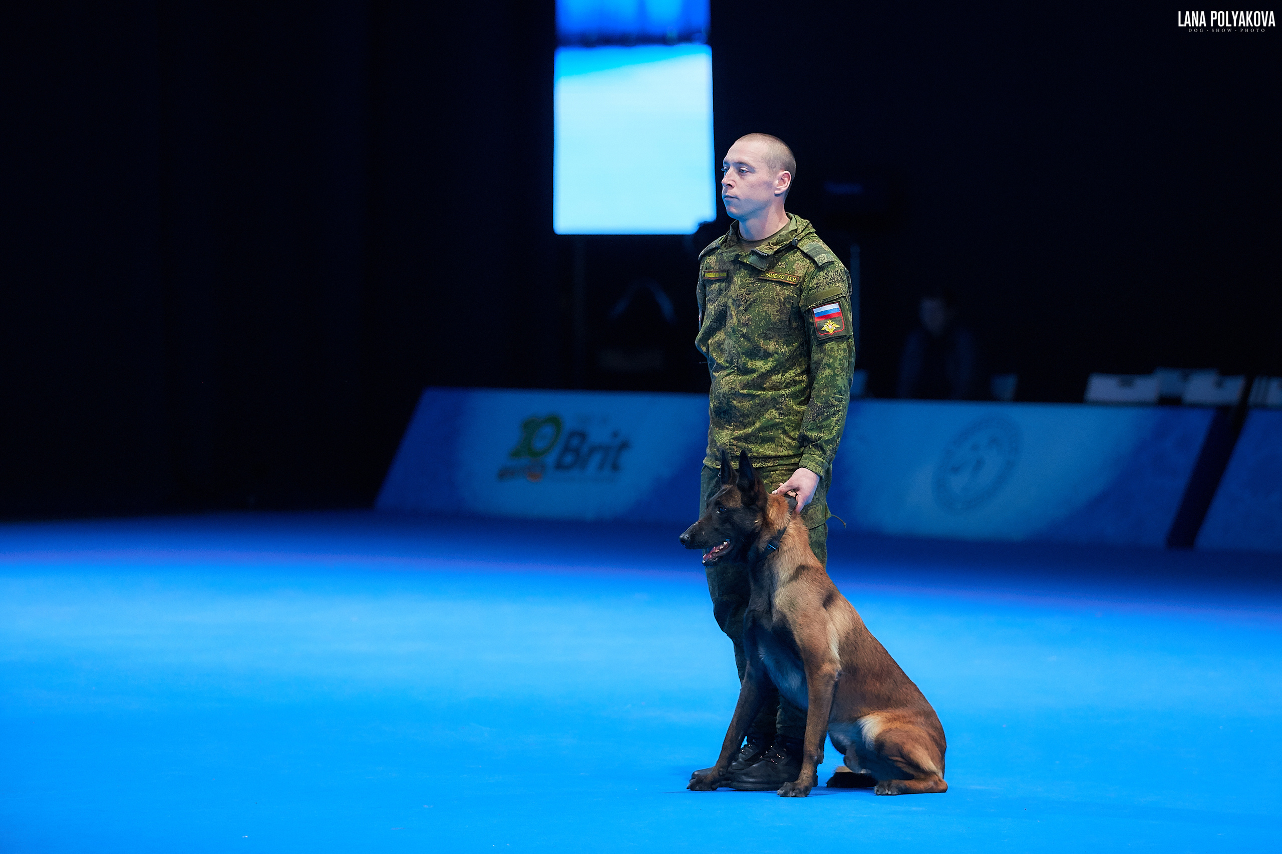 Малинуа
Главный ринг
РОССИЯ - 2018, 2 день
04.11.2018