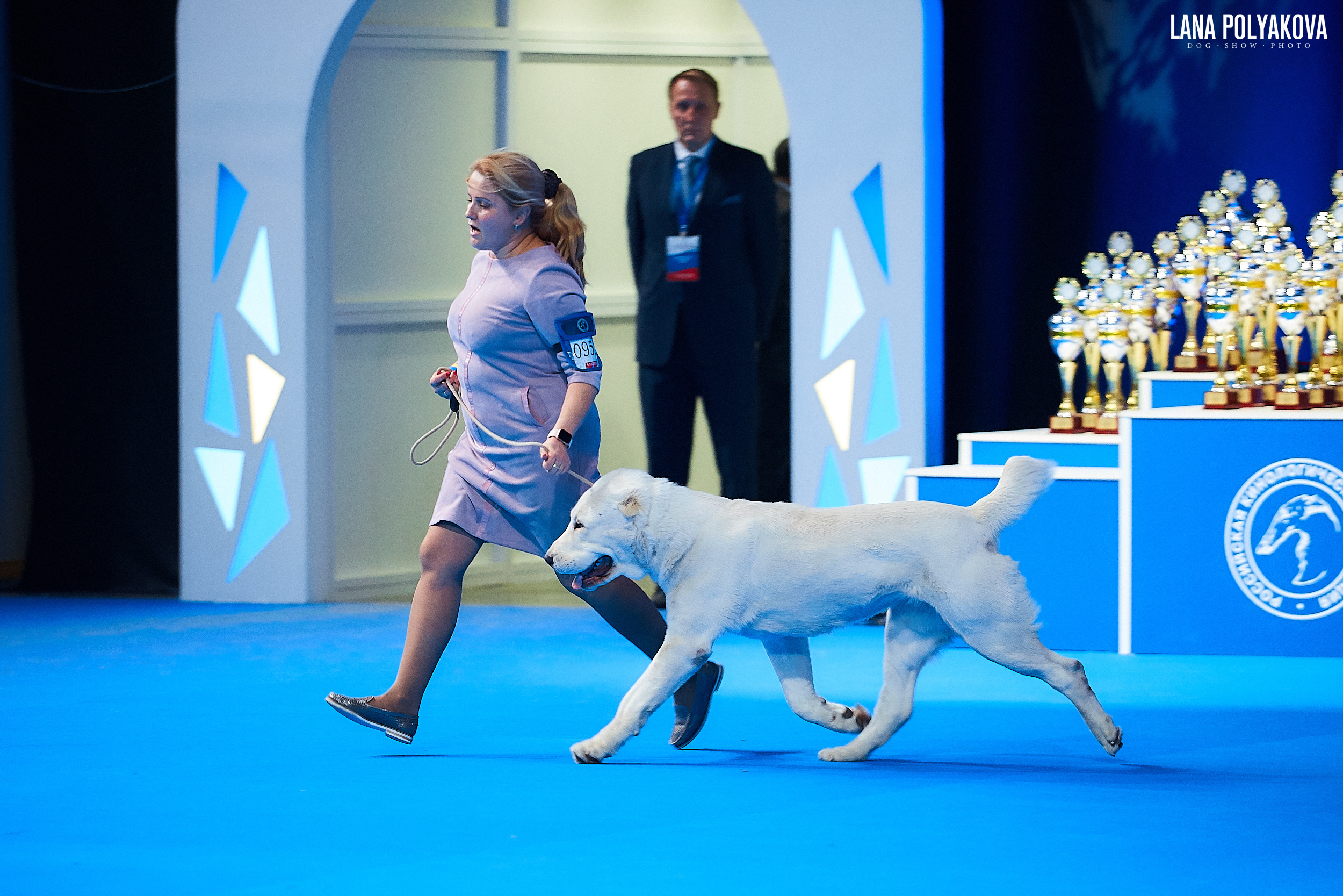 САО
Главный ринг
РОССИЯ - 2018, 2 день
04.11.2018