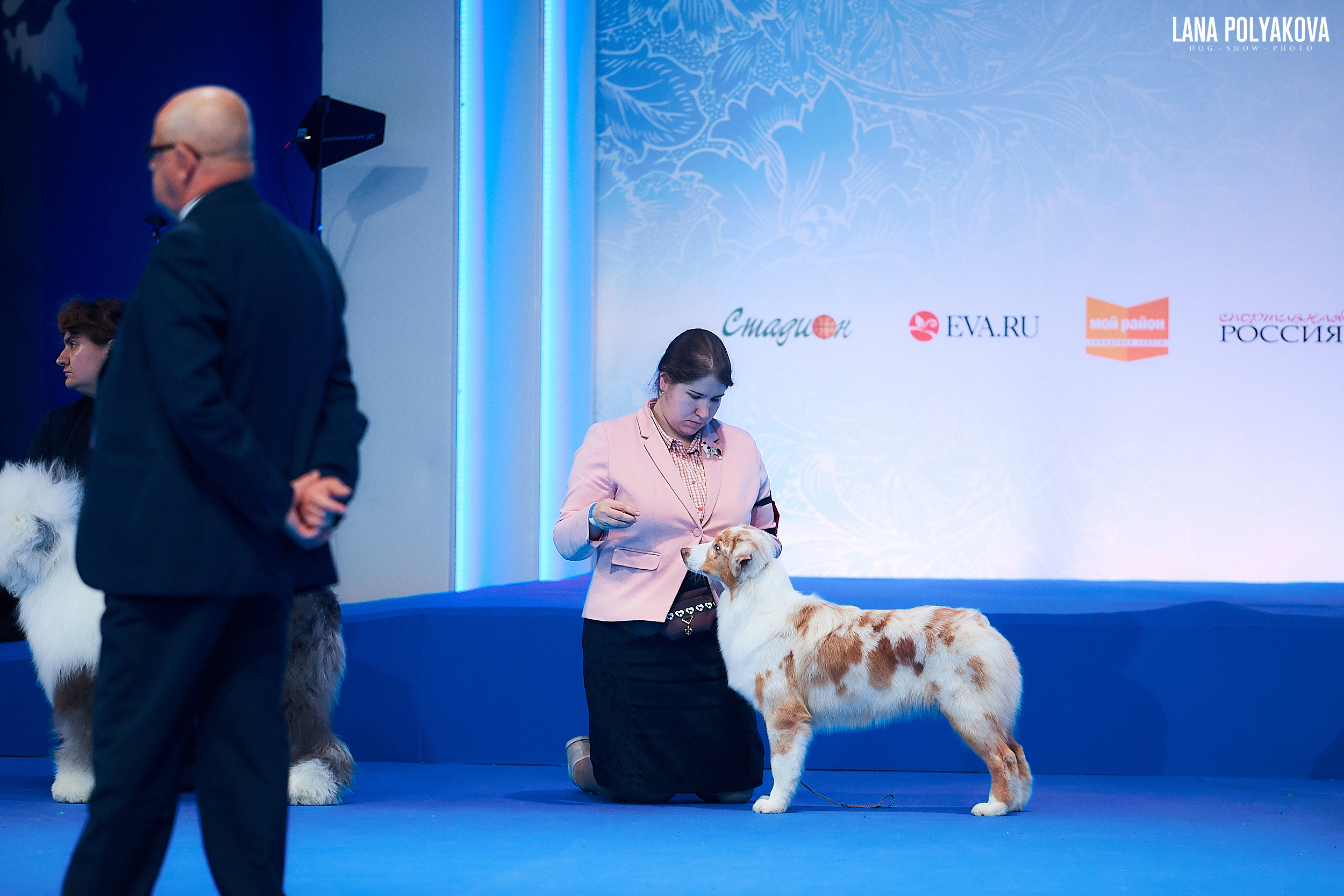 Аусси
Главный ринг
РОССИЯ - 2018, 2 день
04.11.2018