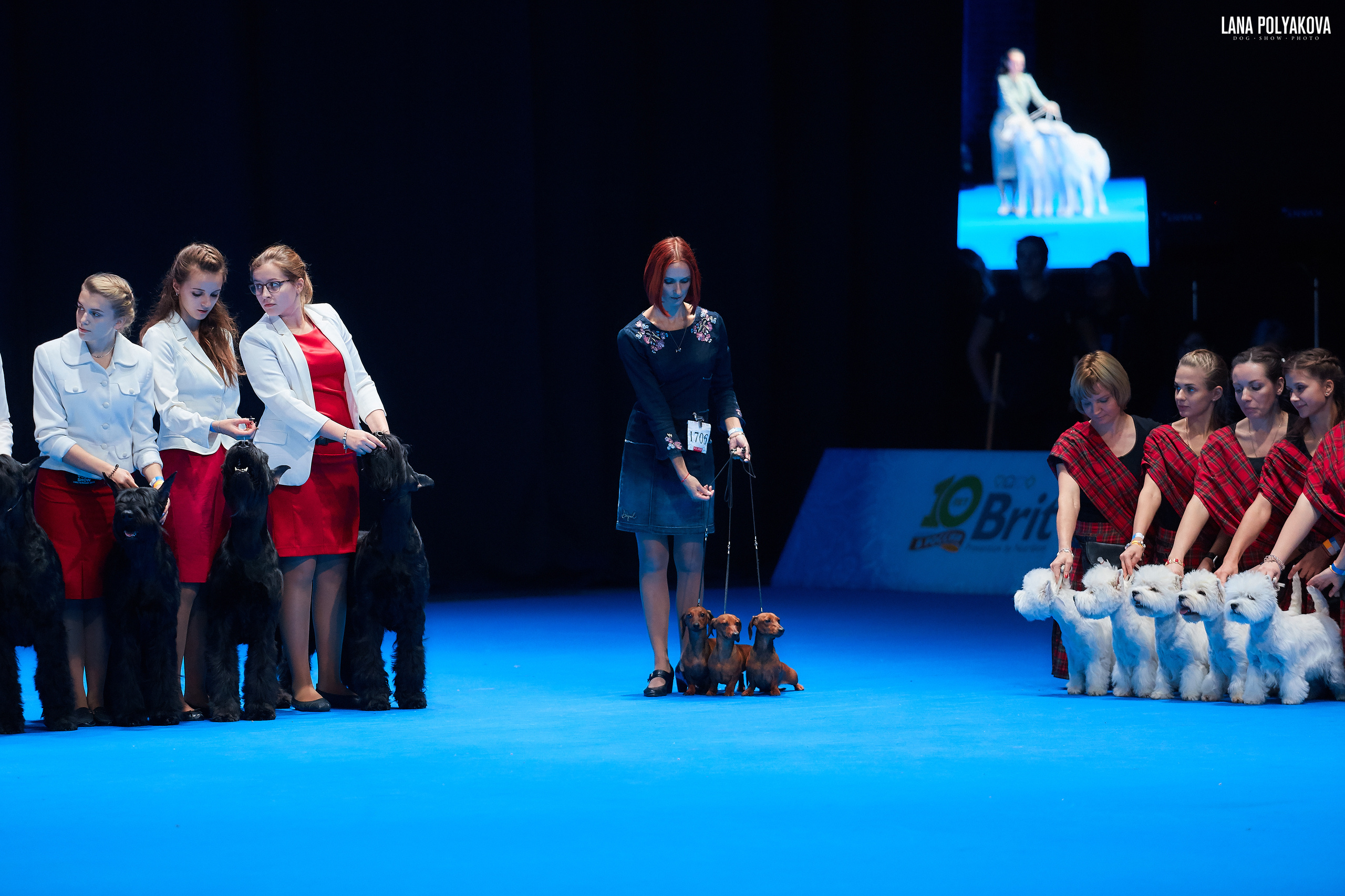 Конкурс питомников
Главный ринг
РОССИЯ - 2018, 2 день
04.11.2018