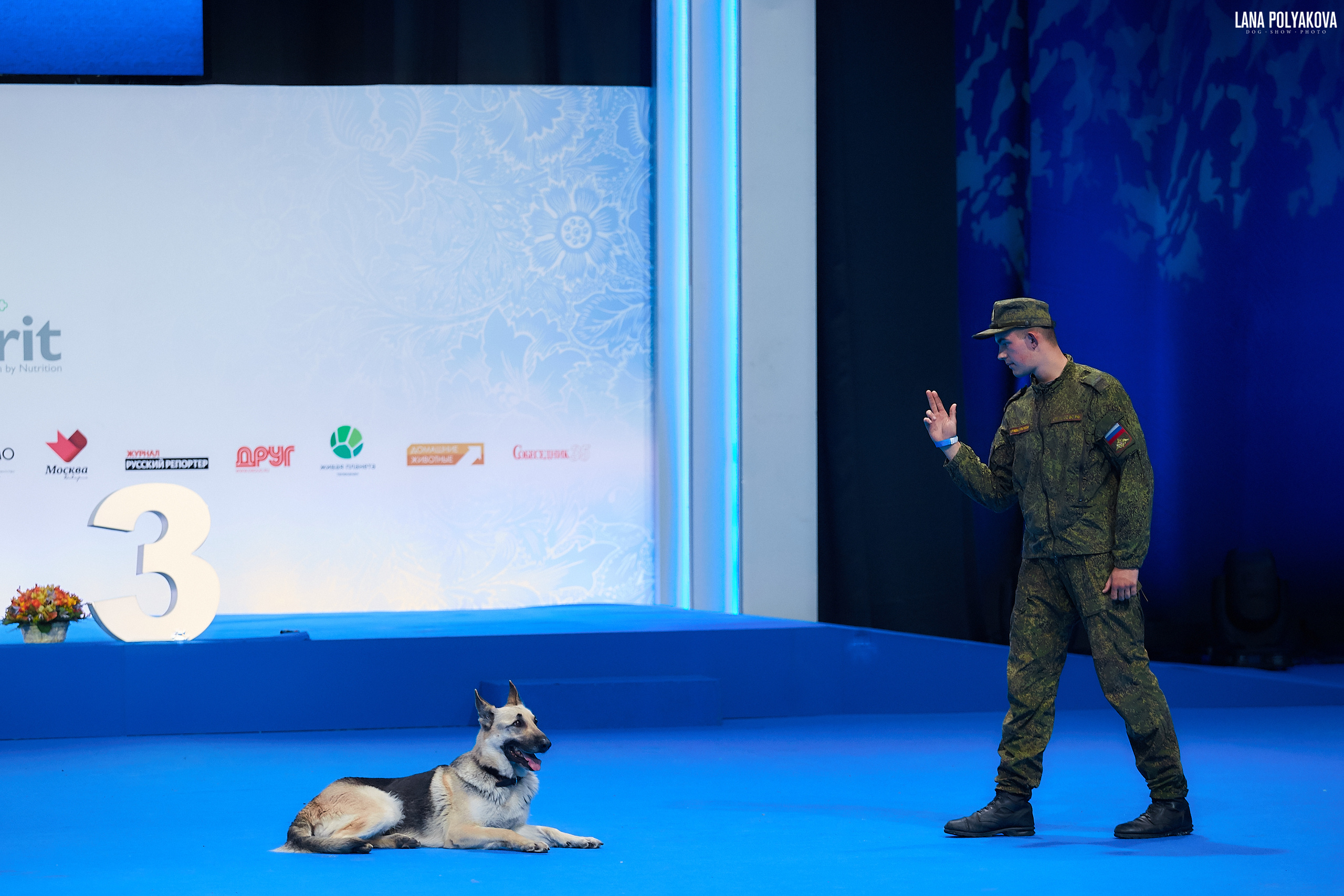 ВЕО
Главный ринг
РОССИЯ - 2018, 2 день
04.11.2018