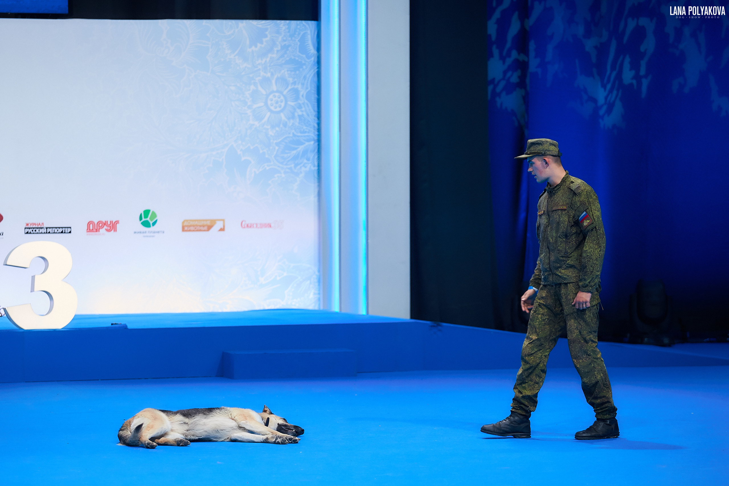 ВЕО
Главный ринг
РОССИЯ - 2018, 2 день
04.11.2018