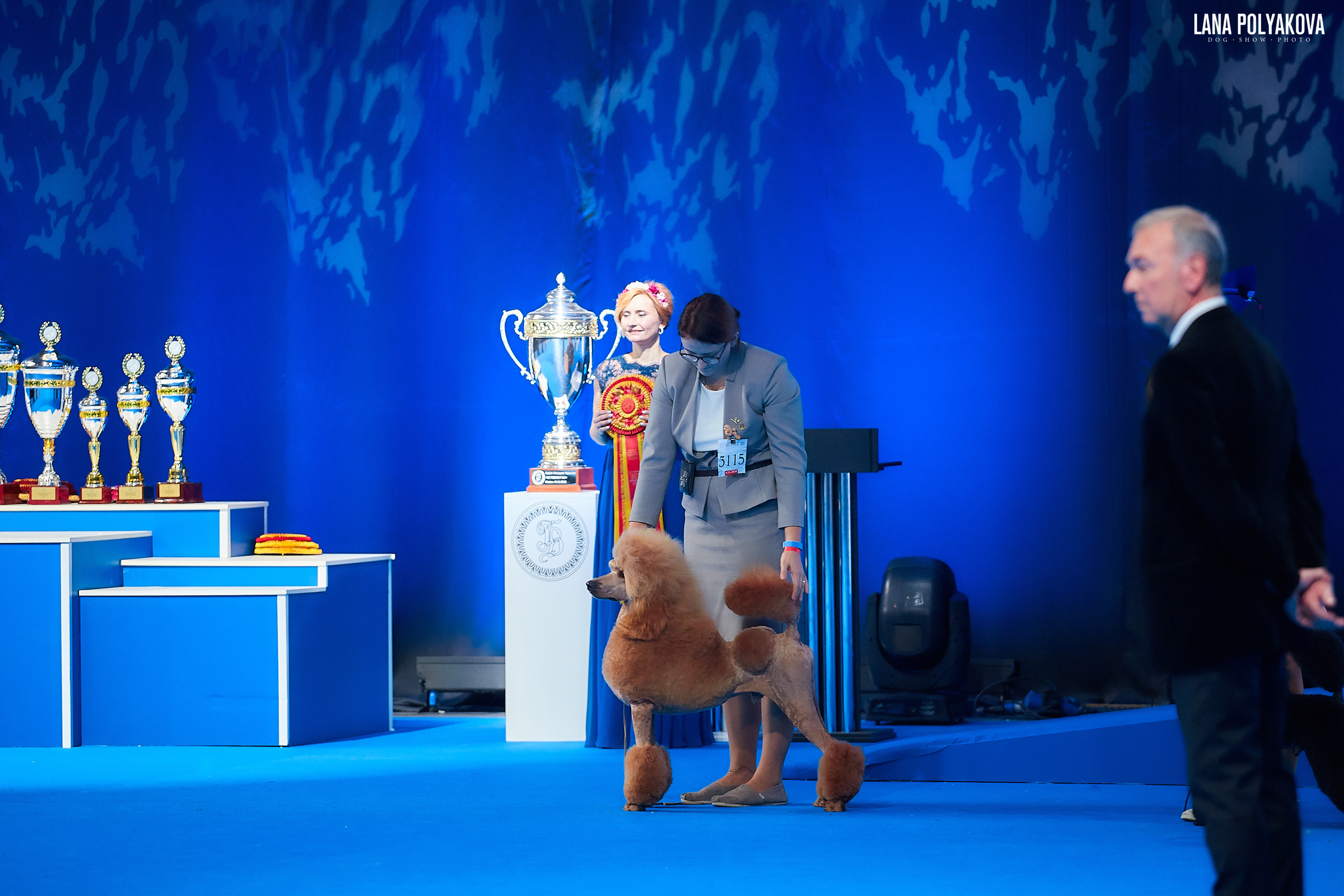 Пудель
Главный ринг
РОССИЯ - 2018, 2 день
04.11.2018