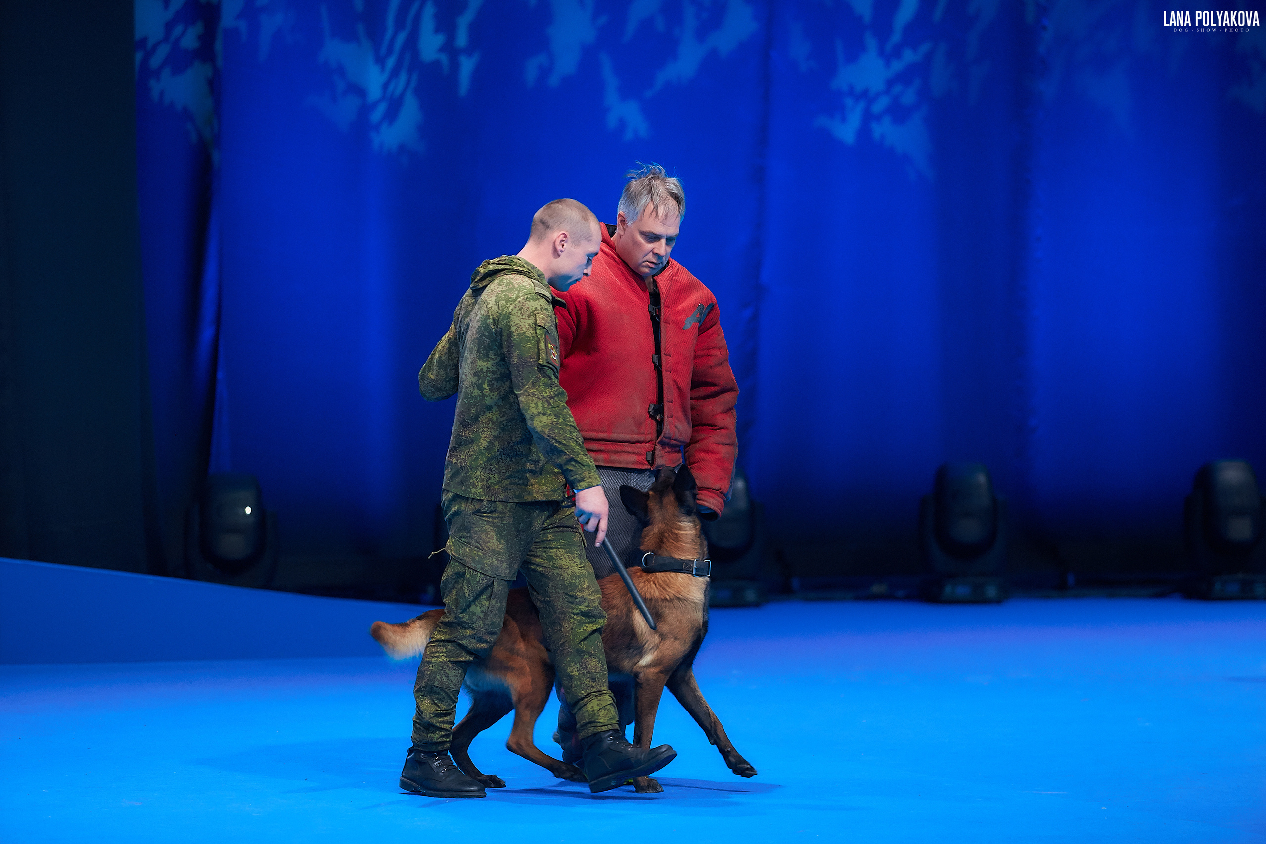 Малинуа
Главный ринг
РОССИЯ - 2018, 2 день
04.11.2018