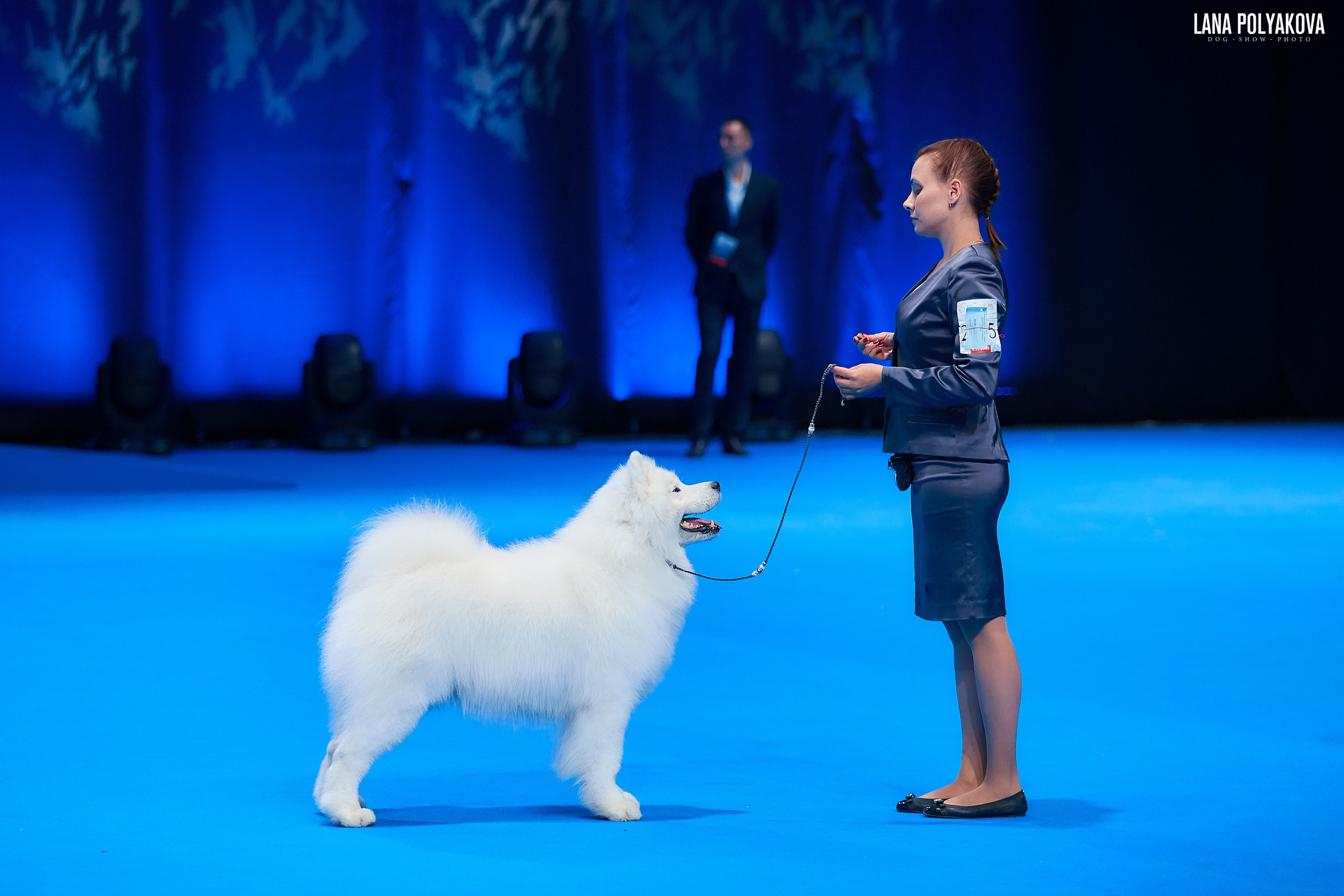 Самоед
Главный ринг
РОССИЯ - 2018, 2 день
04.11.2018