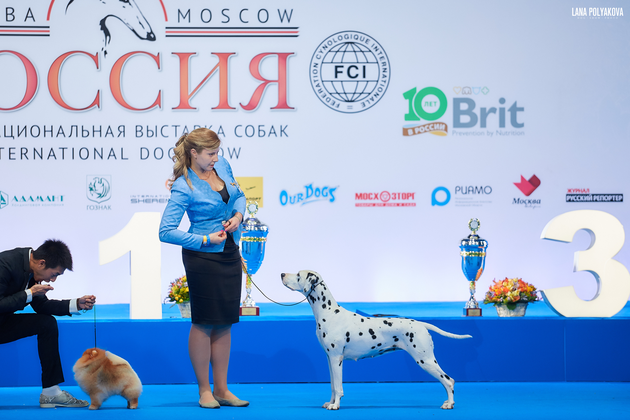 Далматин
РОССИЯ - 2018, 2 день
04.11.2018