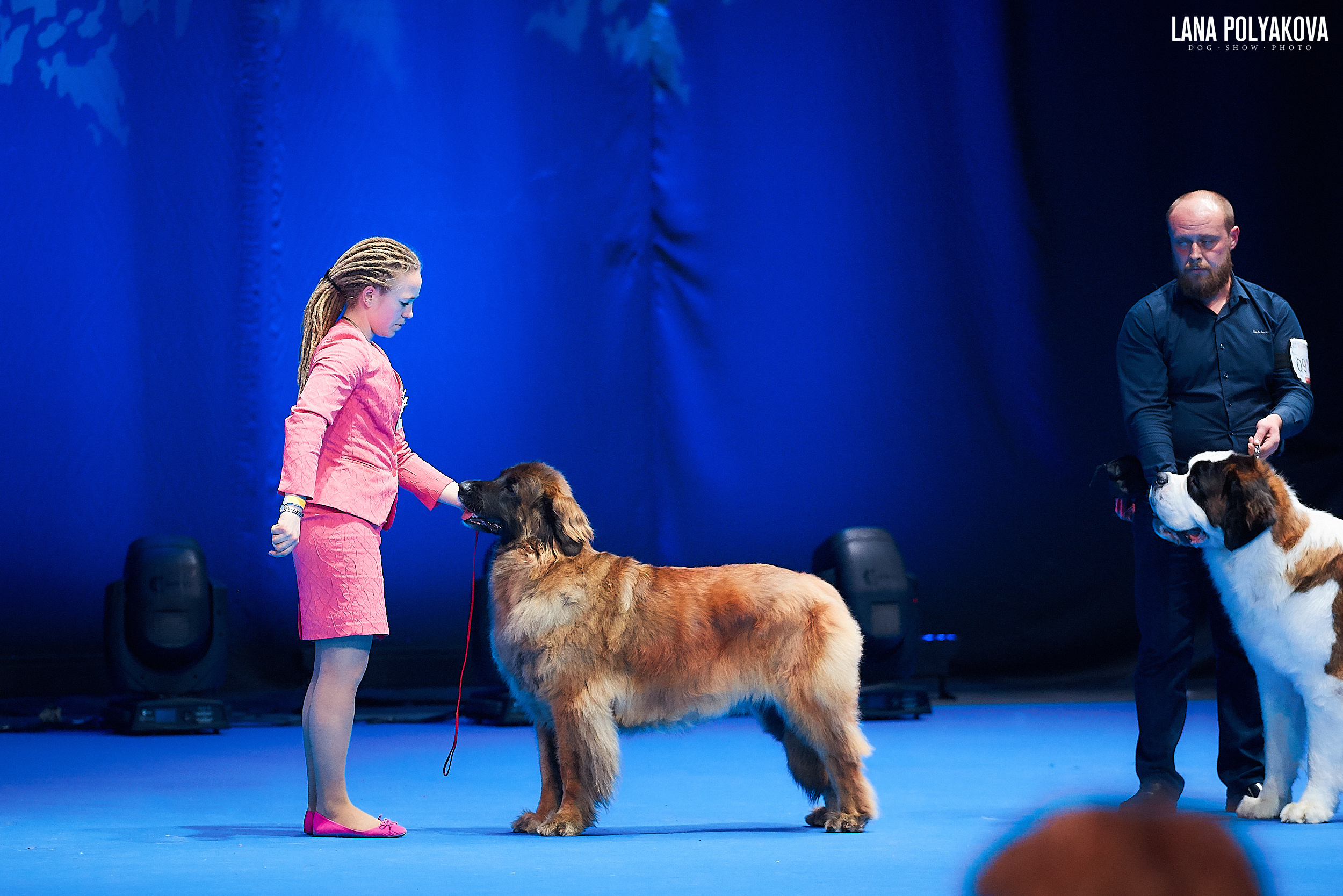 Леонбергер
Главный ринг
РОССИЯ - 2018, 2 день
04.11.2018