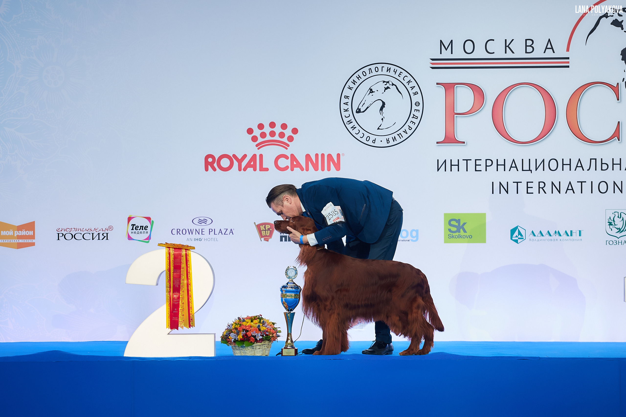 Ирландский сеттер
Главный ринг
РОССИЯ - 2018, 2 день
04.11.2018