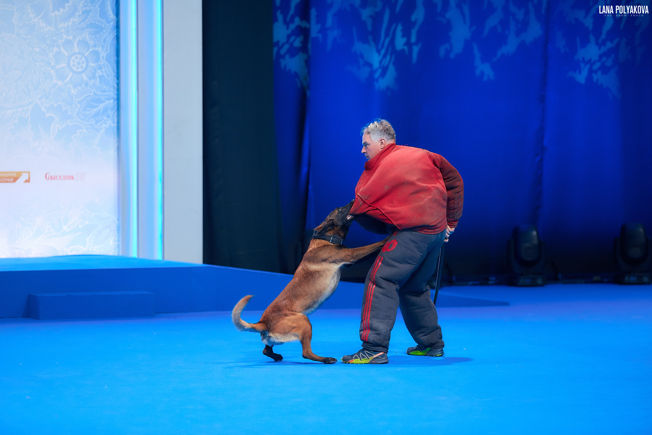 Малинуа
Главный ринг
РОССИЯ - 2018, 2 день
04.11.2018