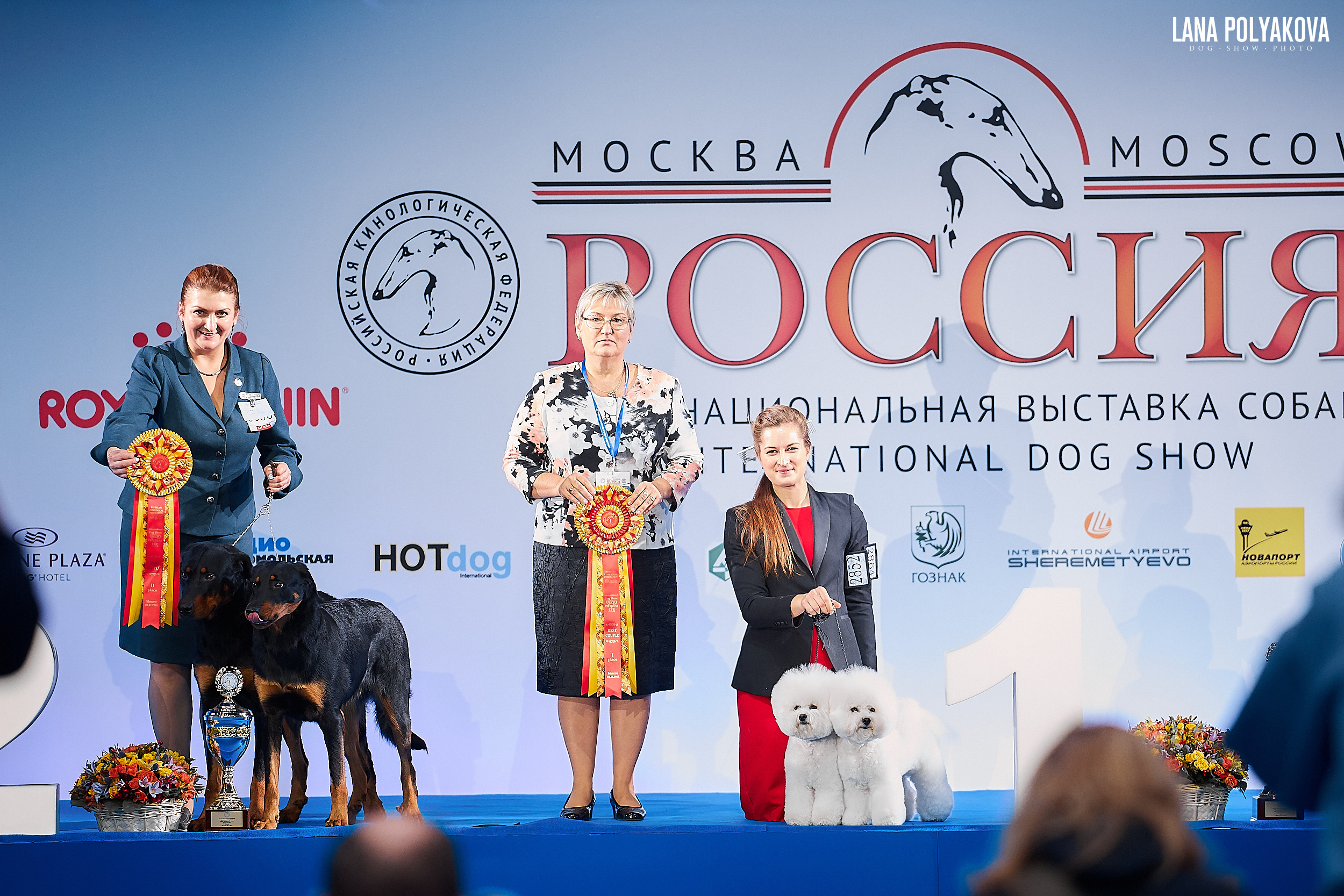 Бишон фризе
Главный ринг
РОССИЯ - 2018, 2 день
04.11.2018