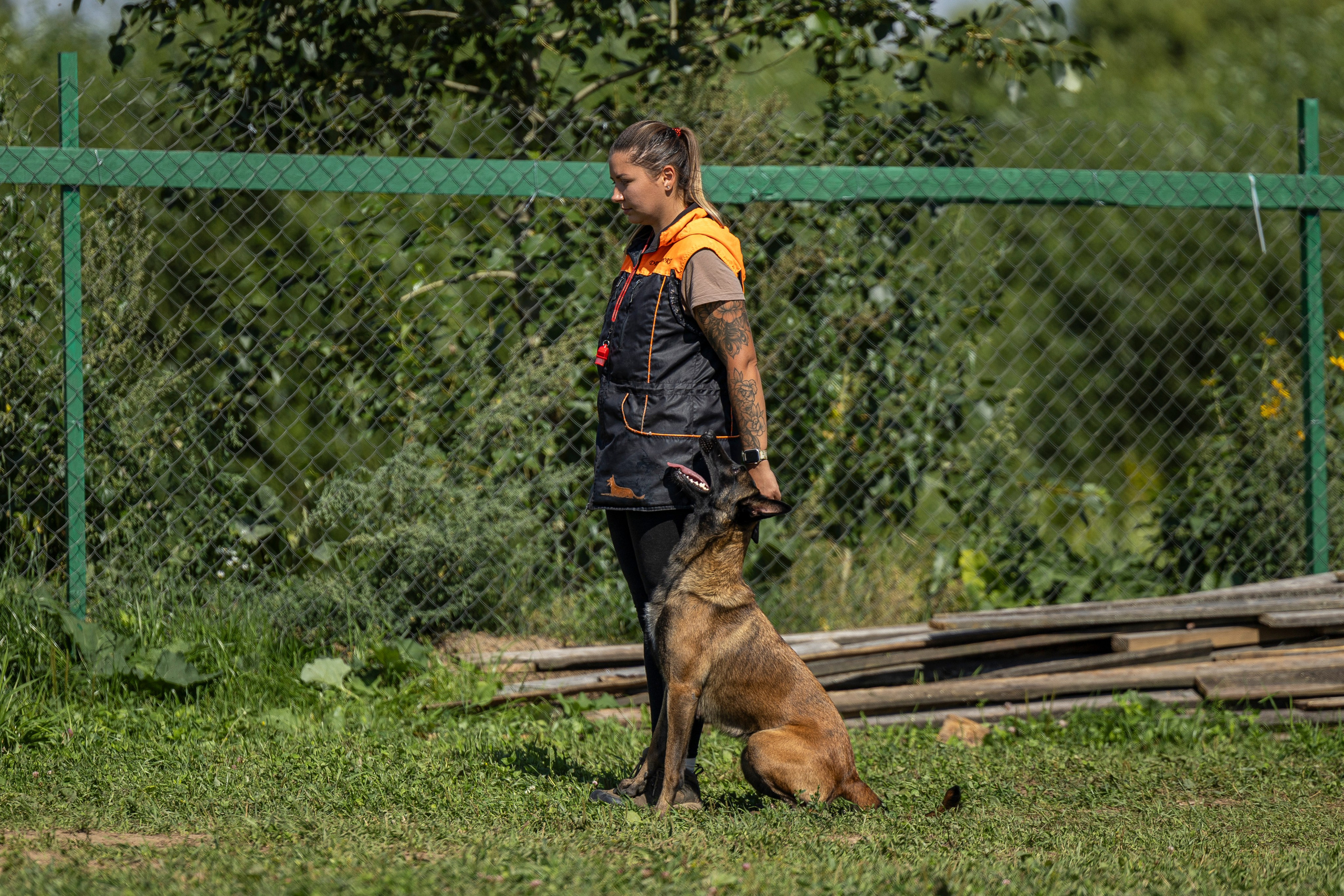 Соревнования по Мондьорингу г. Вологда 10-11.08.2024. Фотограф-анималист Анна Маринич