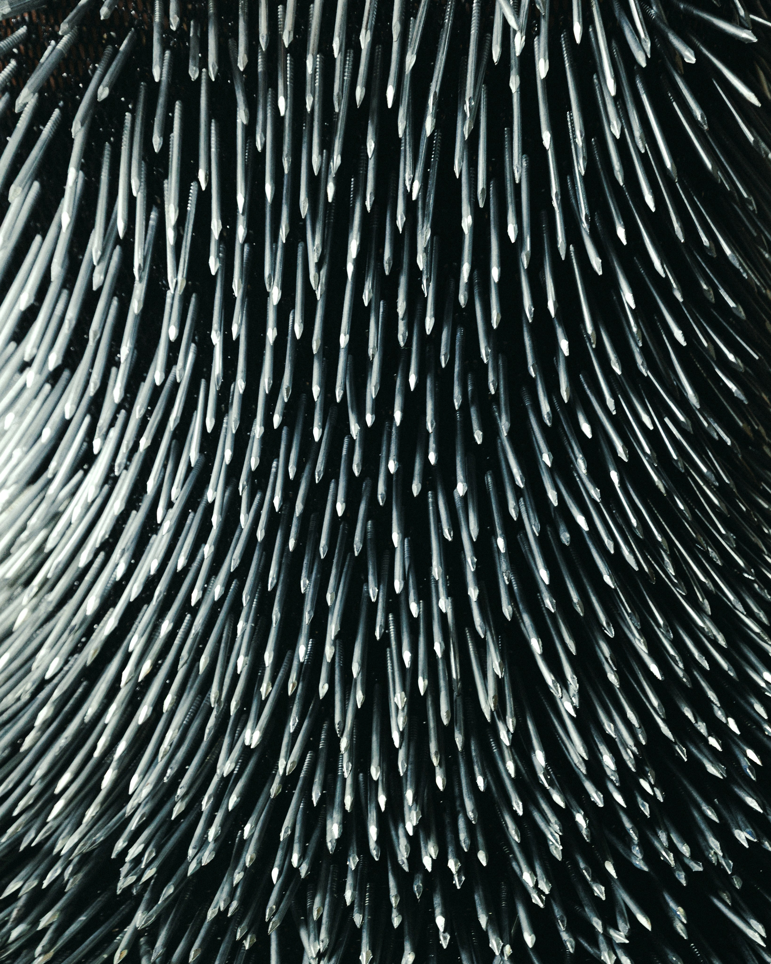 SASHA SULIM. TUTSARKIS — Art Director | Stylist | Photographer
