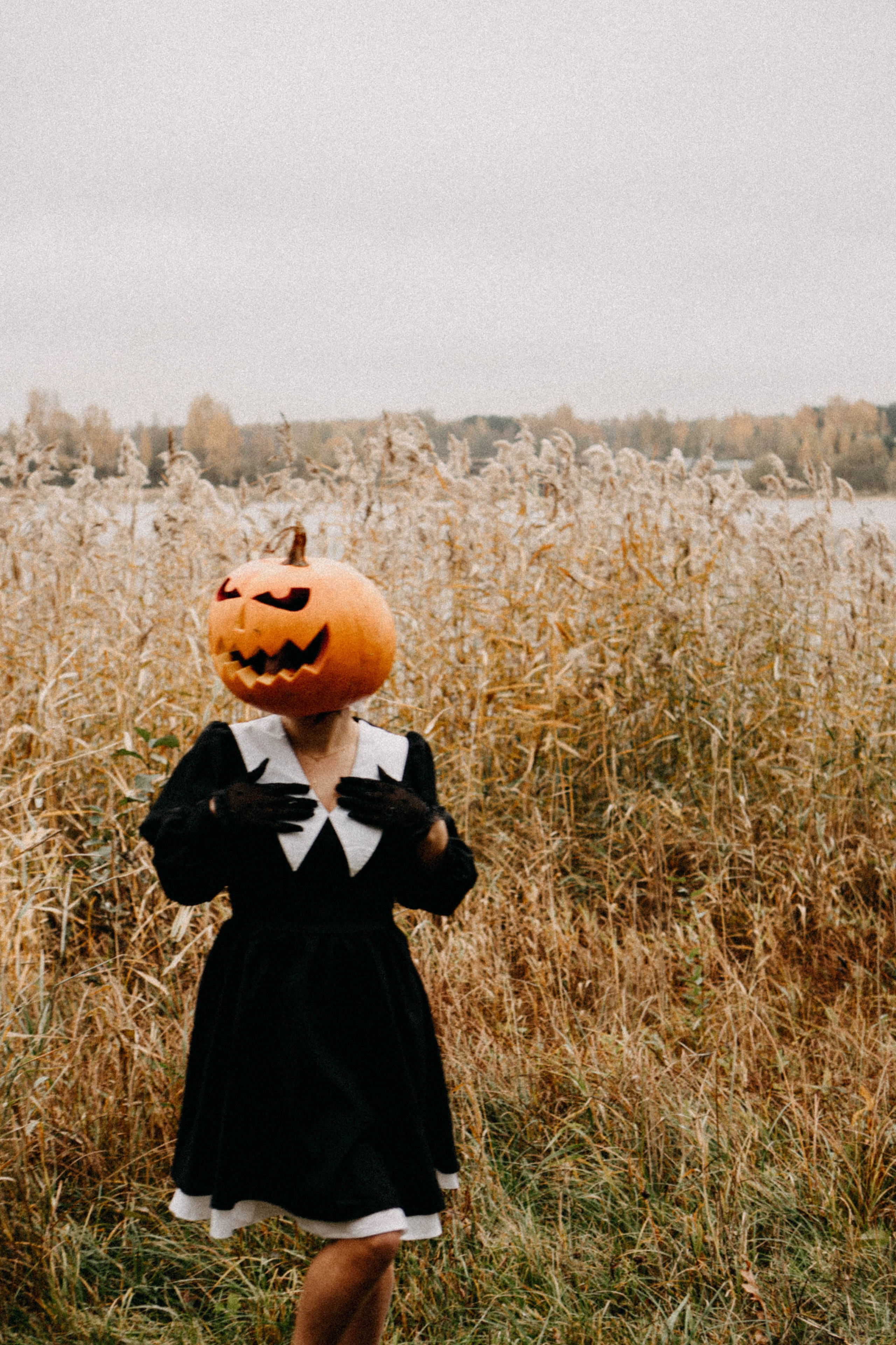 Осеняя. Профессиональный фотограф, Санкт-Петербург — Виктория Богомолова