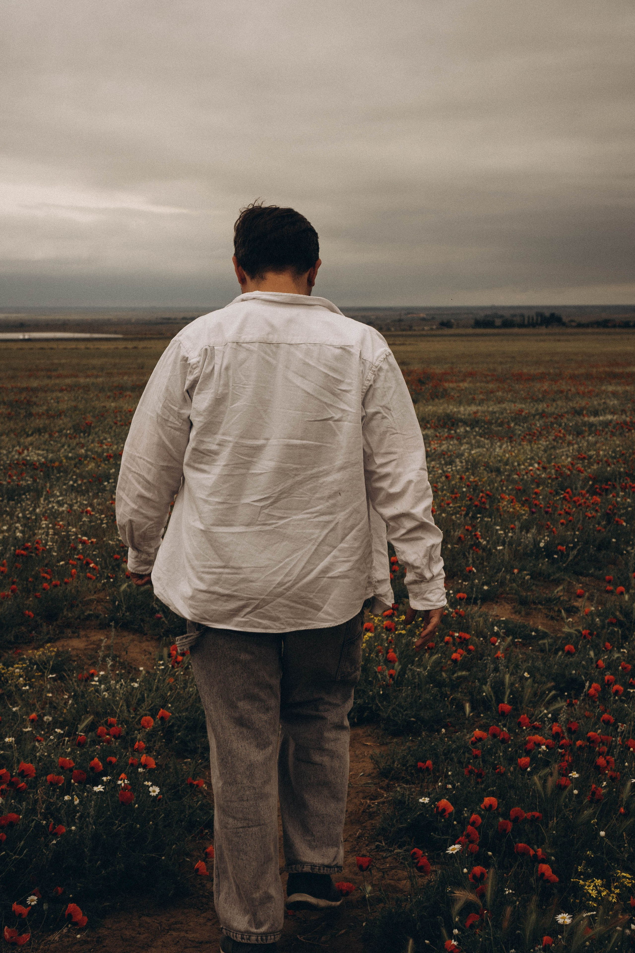 Маки. Профессиональный фотограф, Санкт-Петербург — Виктория Богомолова
