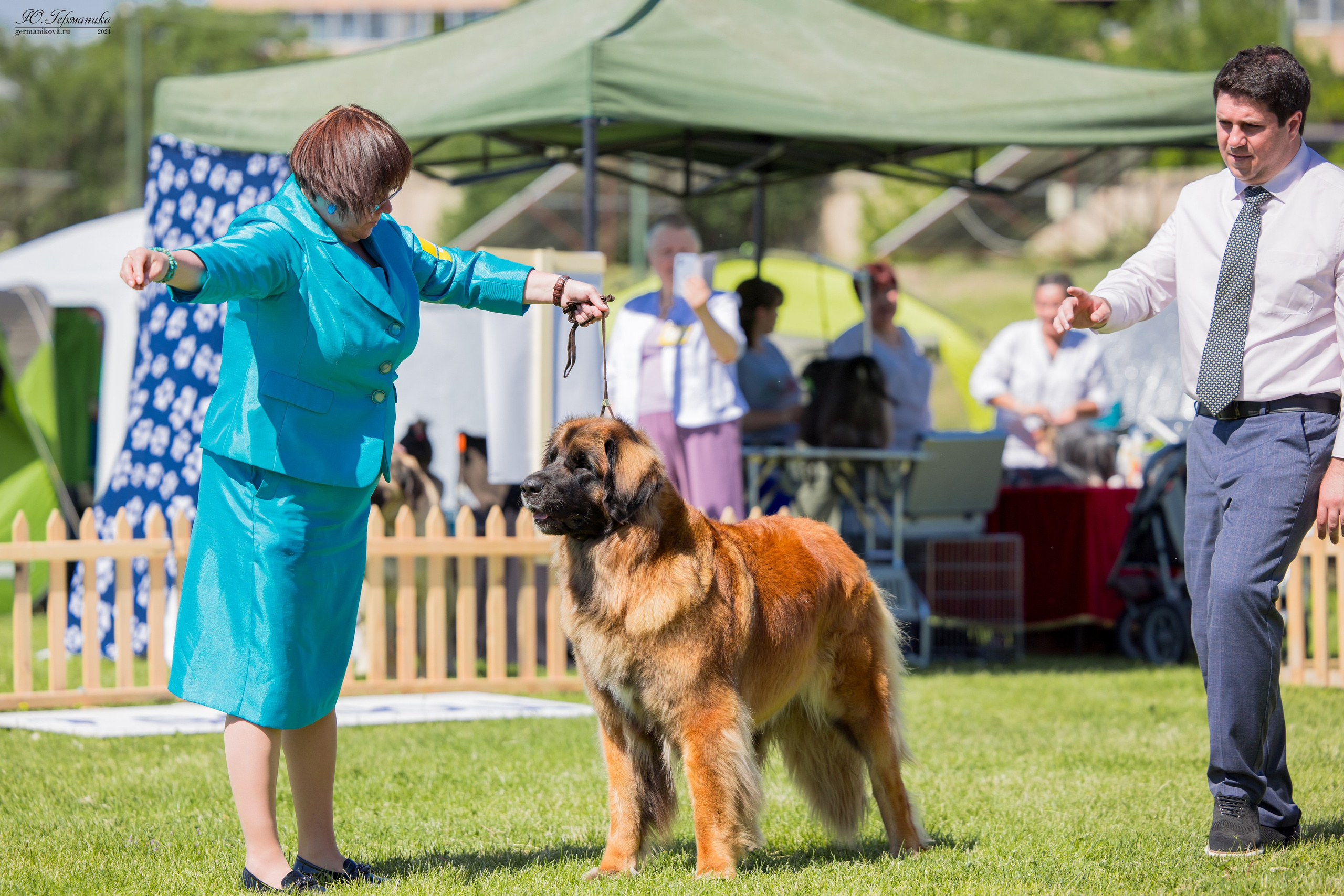 Ереван 3-5.06.2024. Фотограф-анималист Юлия Германика