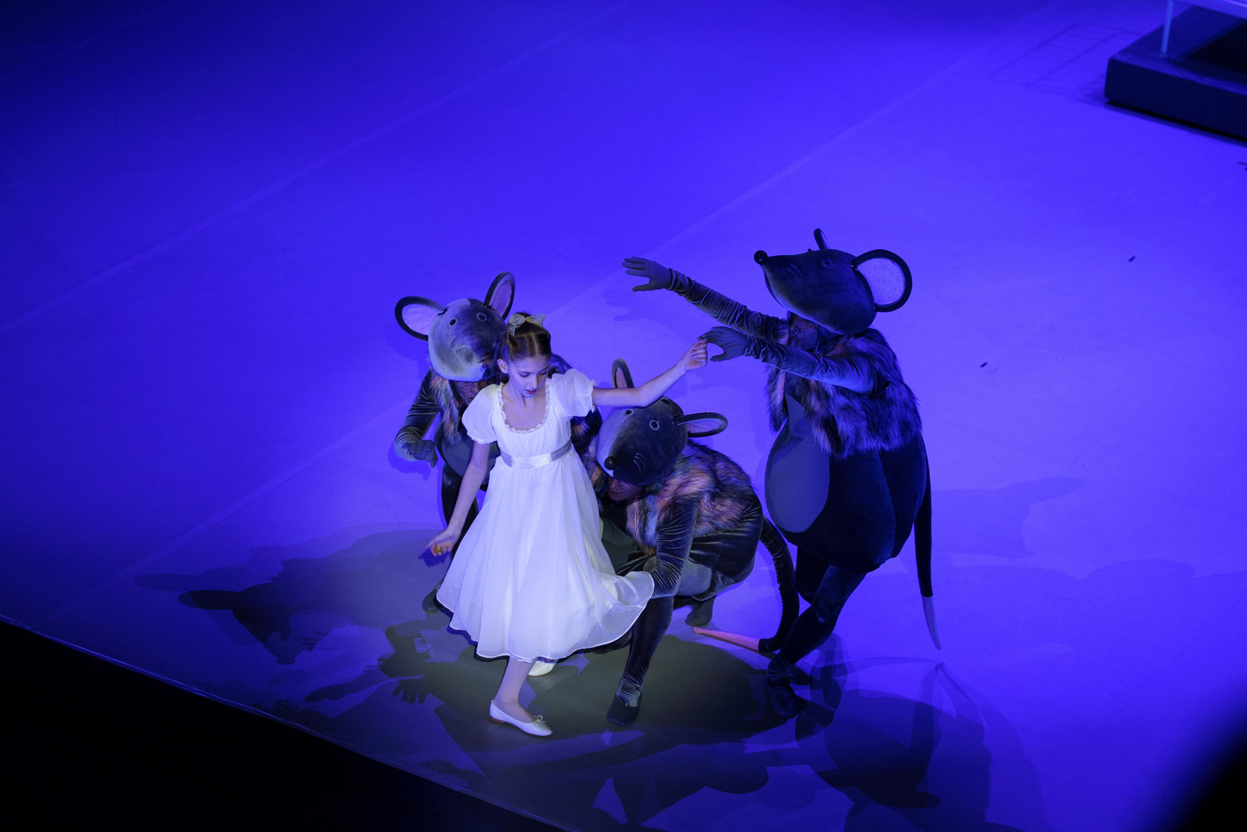 Репортажная съемка в Симферополе и по Крыму. Виктория Беник